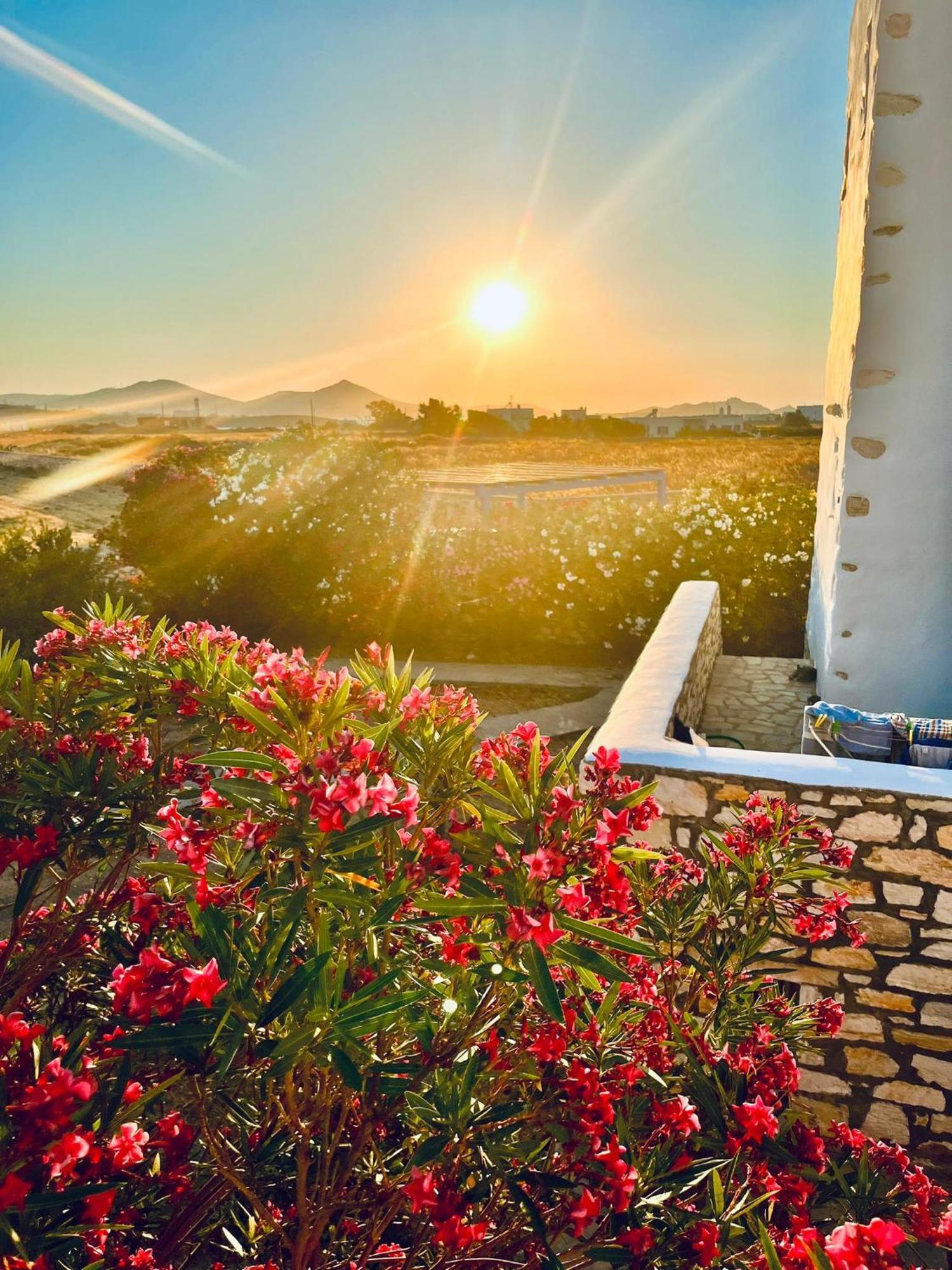 Holiday home Paros Home Parikia (Paros)