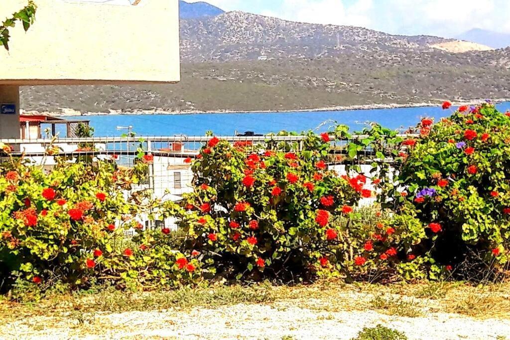 Elia - Seaside Place * Agios Nikolaos (Crete)