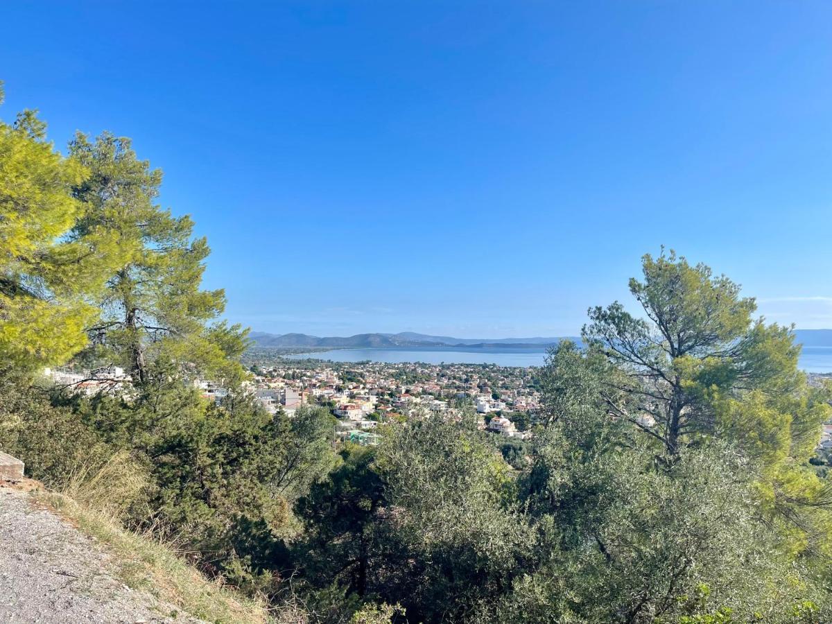 Mulberry House Nea Makri