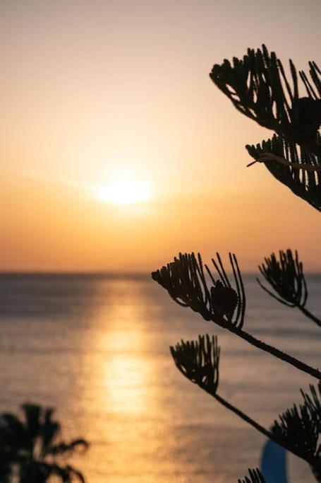 Mare Nostrum Sounio Villa *