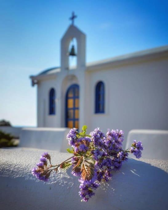 Villa Mare Nostrum Sounio *