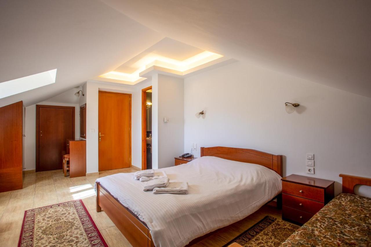 Adonis Hotel Metsovo