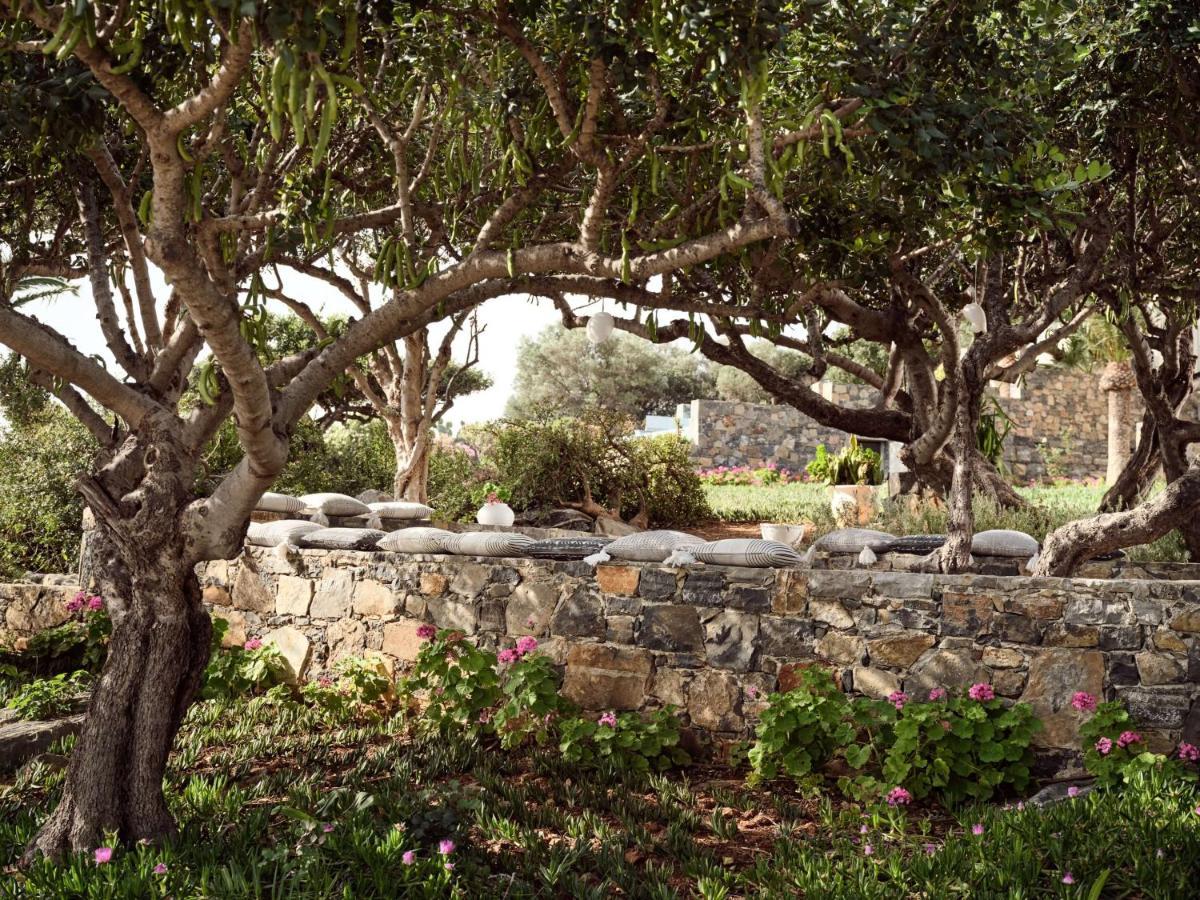 Palm & Hotel Elounda (Crete)