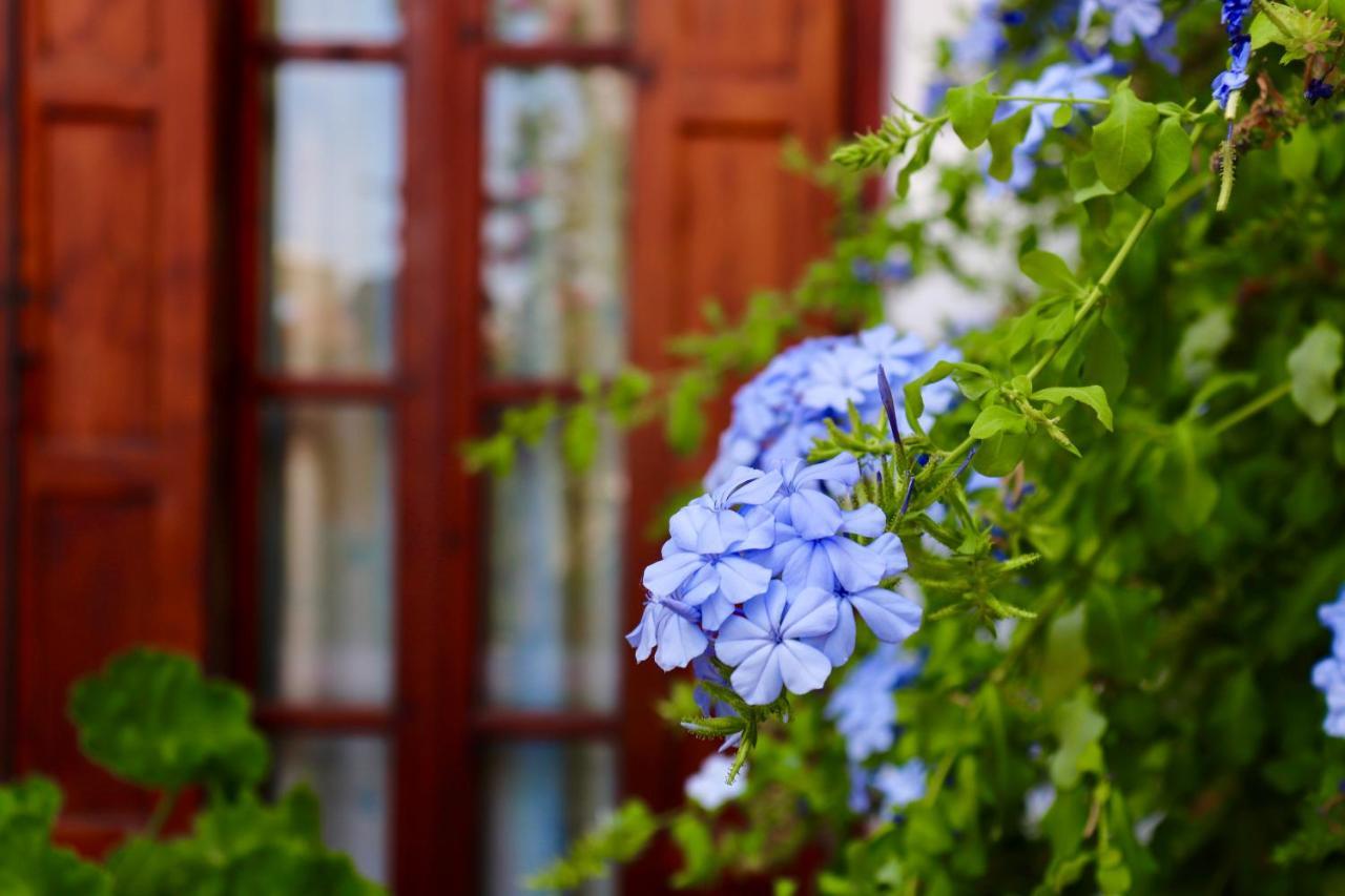 Amalthia Apartment Skiathos Town