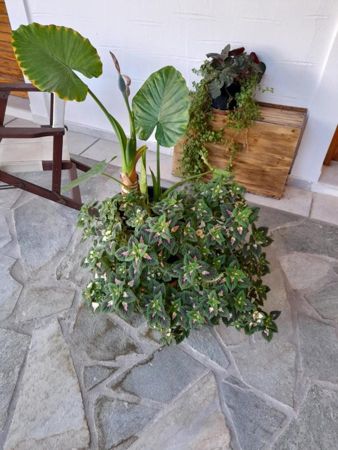 Siroco's And Parikia (Paros)