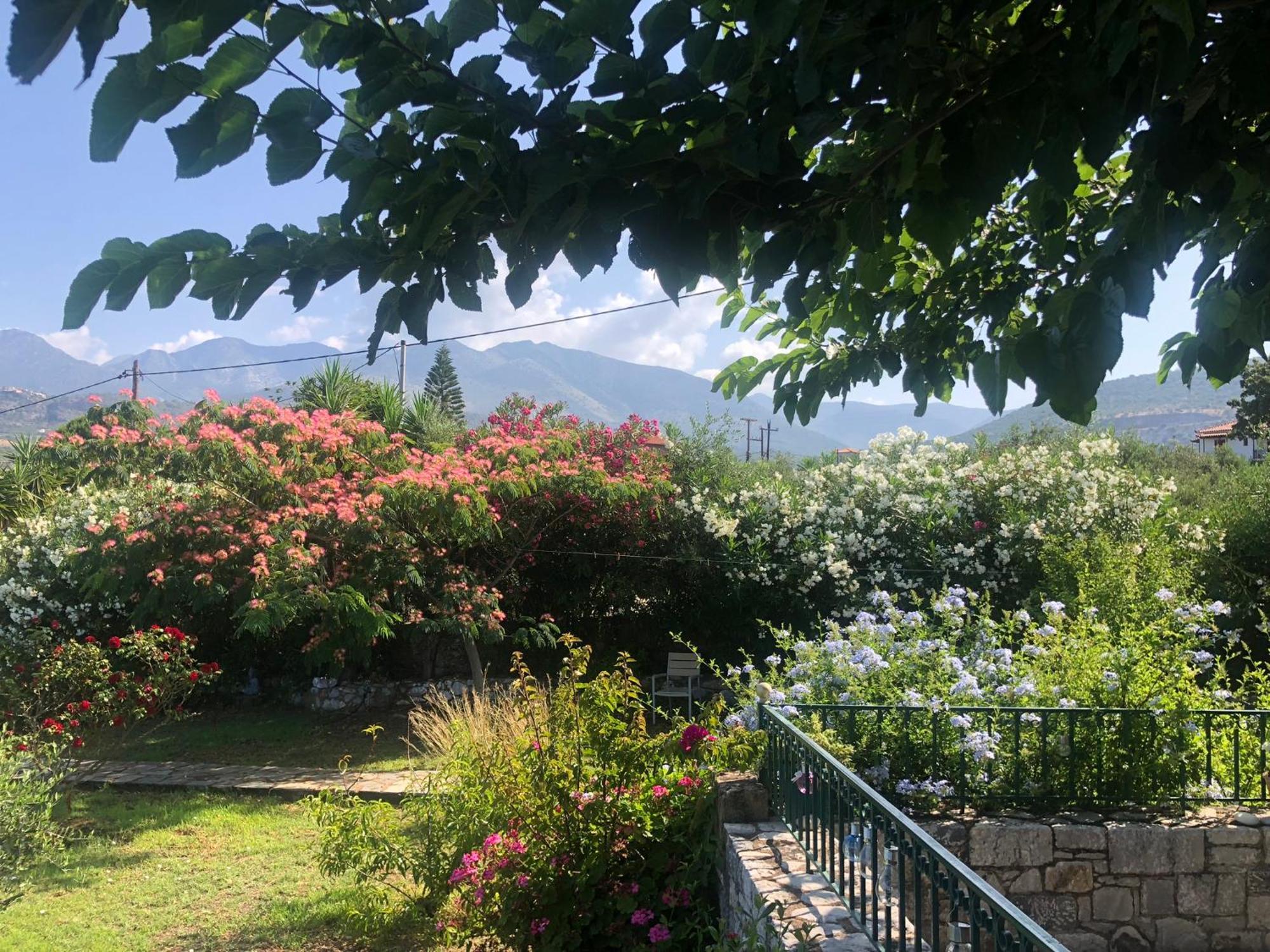 Pefnos Agios Nikolaos (Mani)