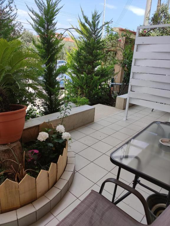 Apartment Anna Limenas (Thasos)