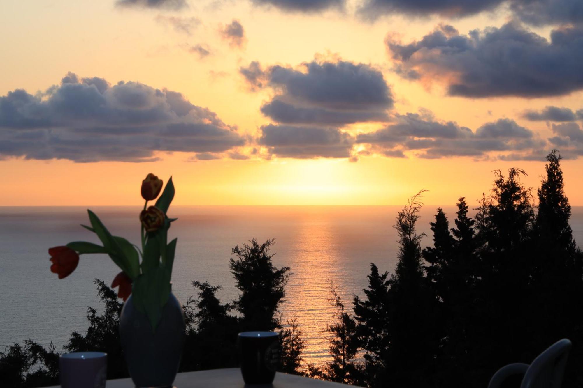 Alibertini Agios Gordios (Corfu)