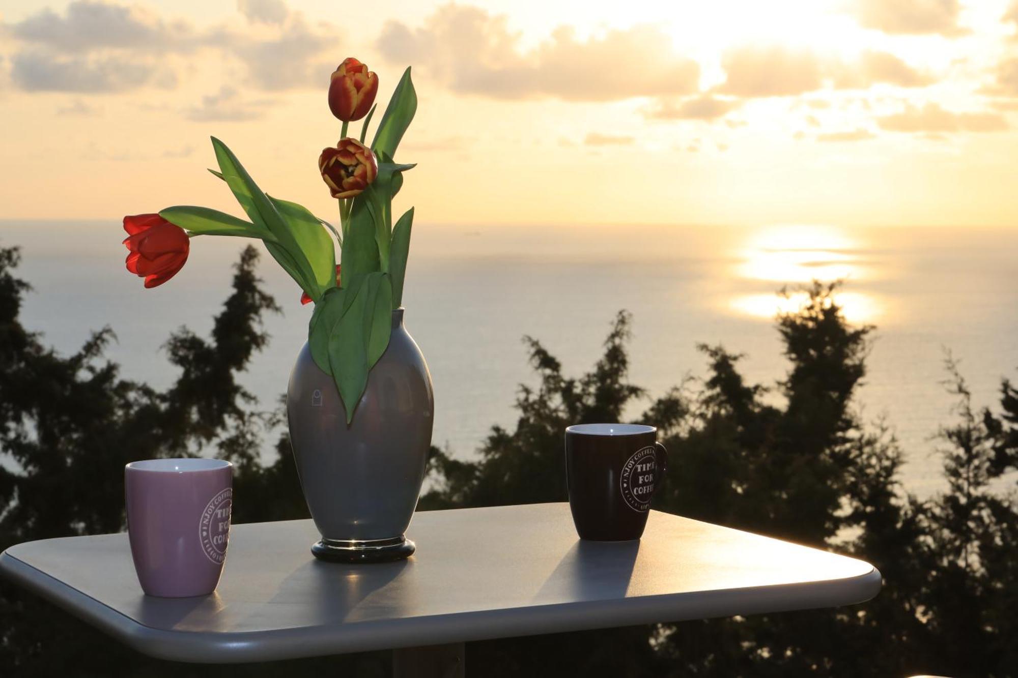 Holiday home Alibertini *