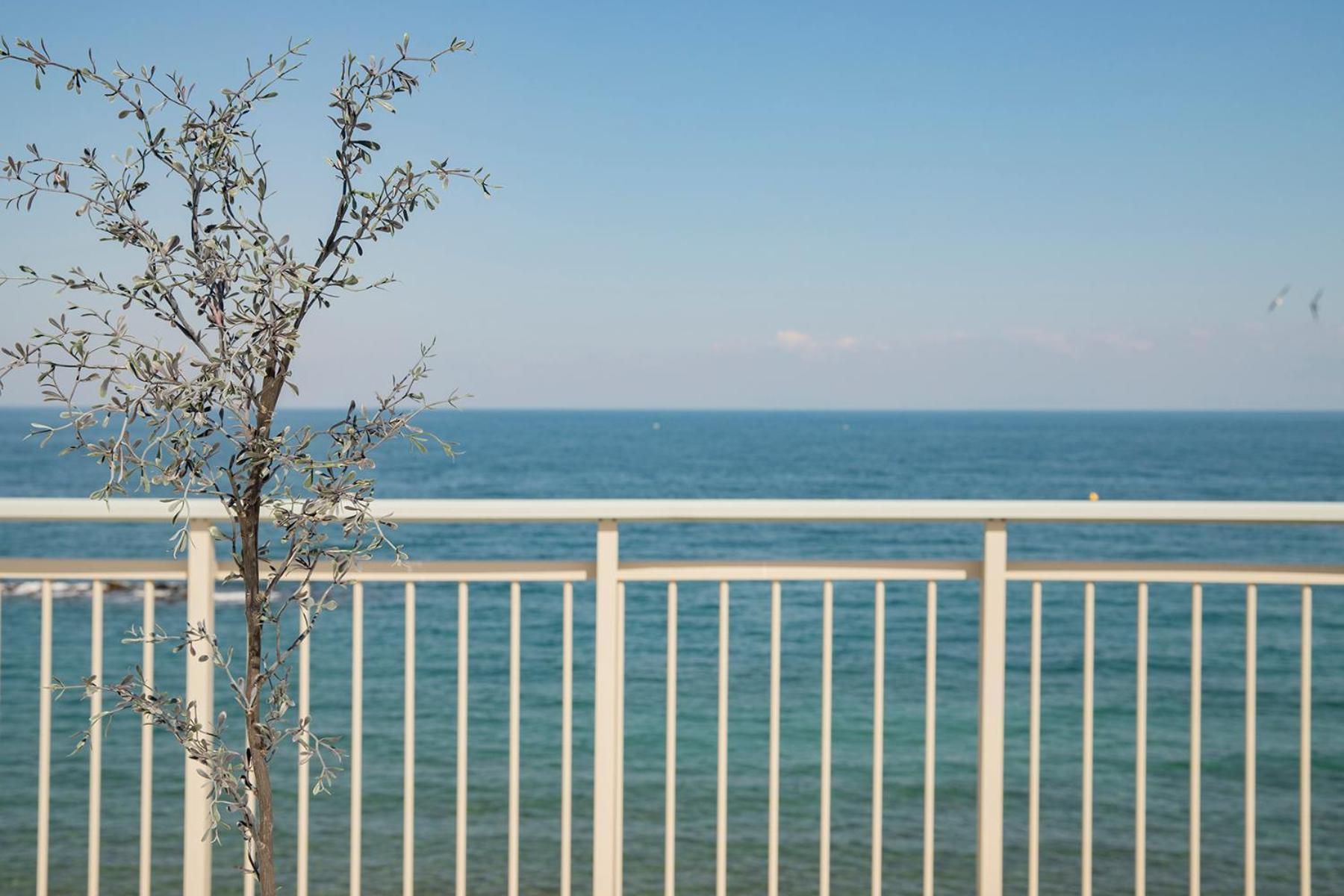 Zefyros Sea View Hotel Platamonas