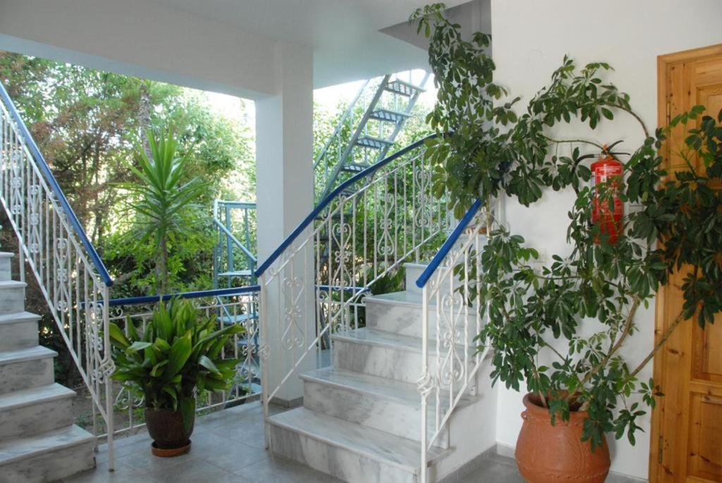Leventis Apartment Rovies
