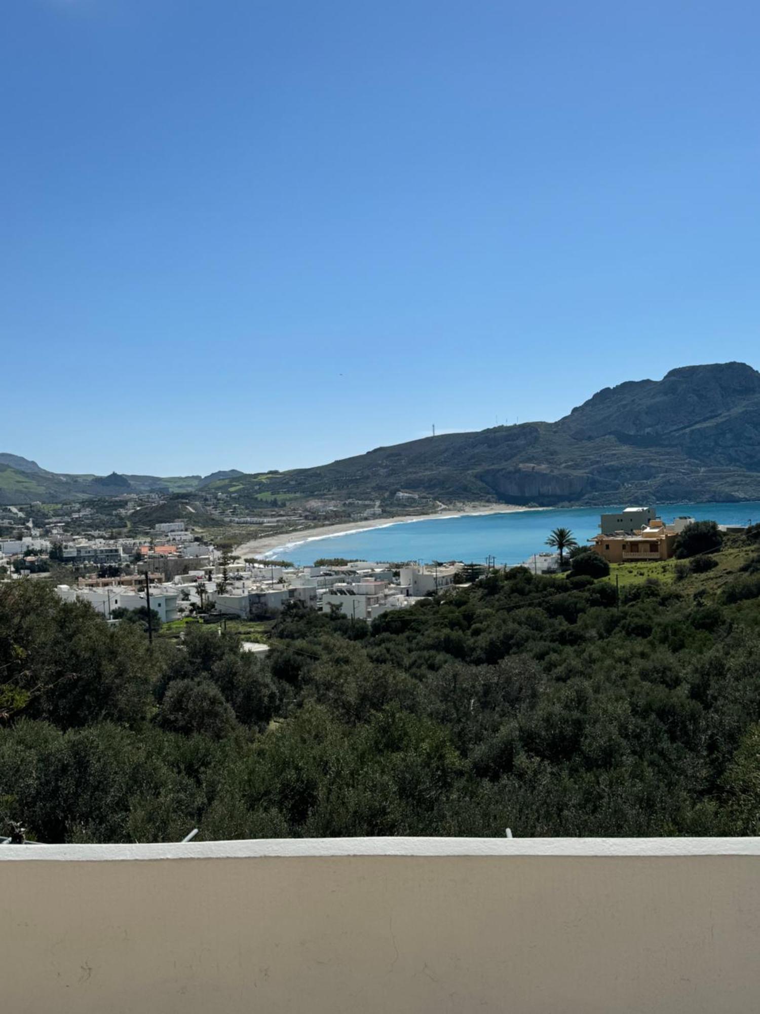 Apartment Olive Grove *