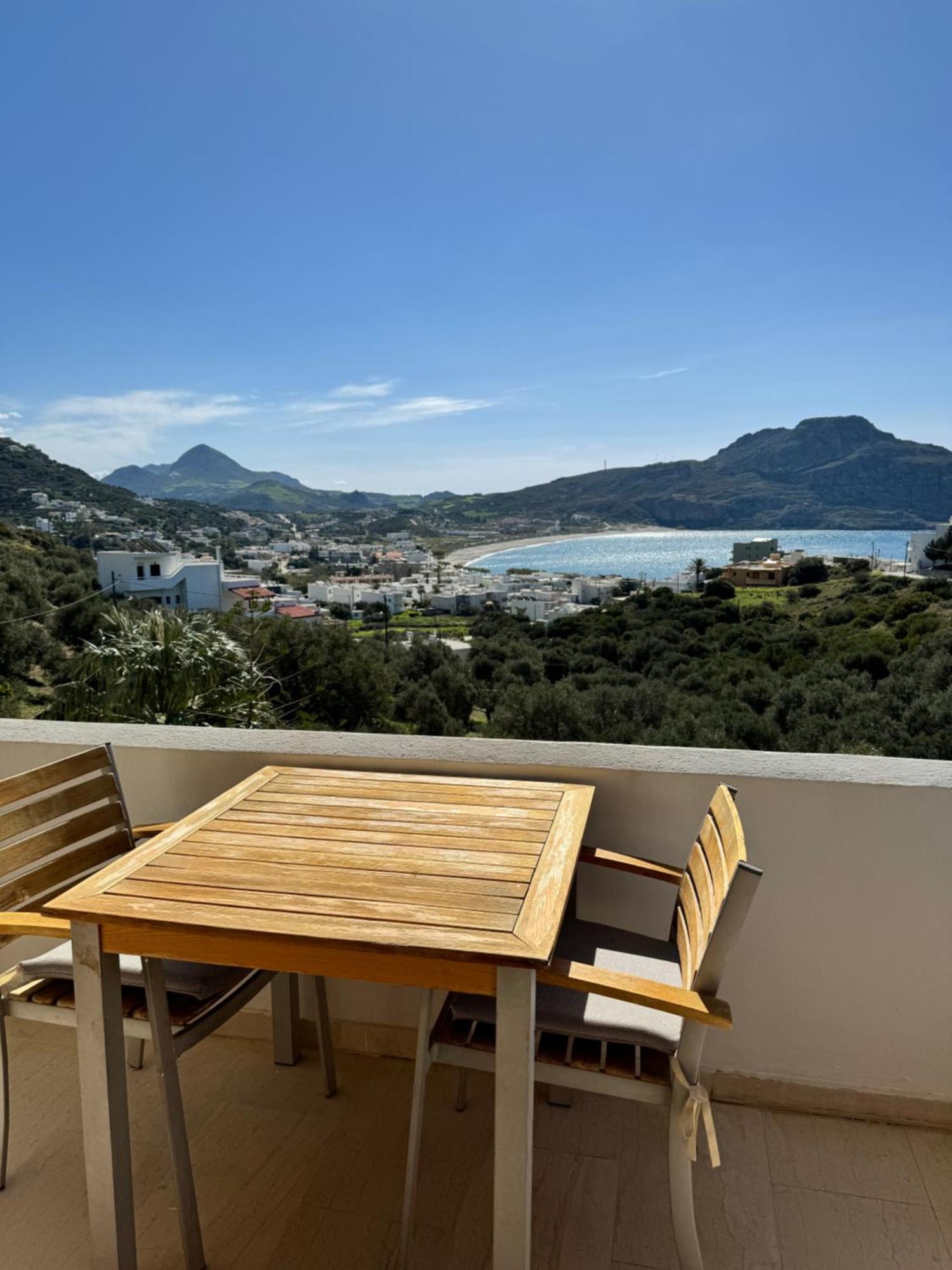 Apartment Olive Grove *