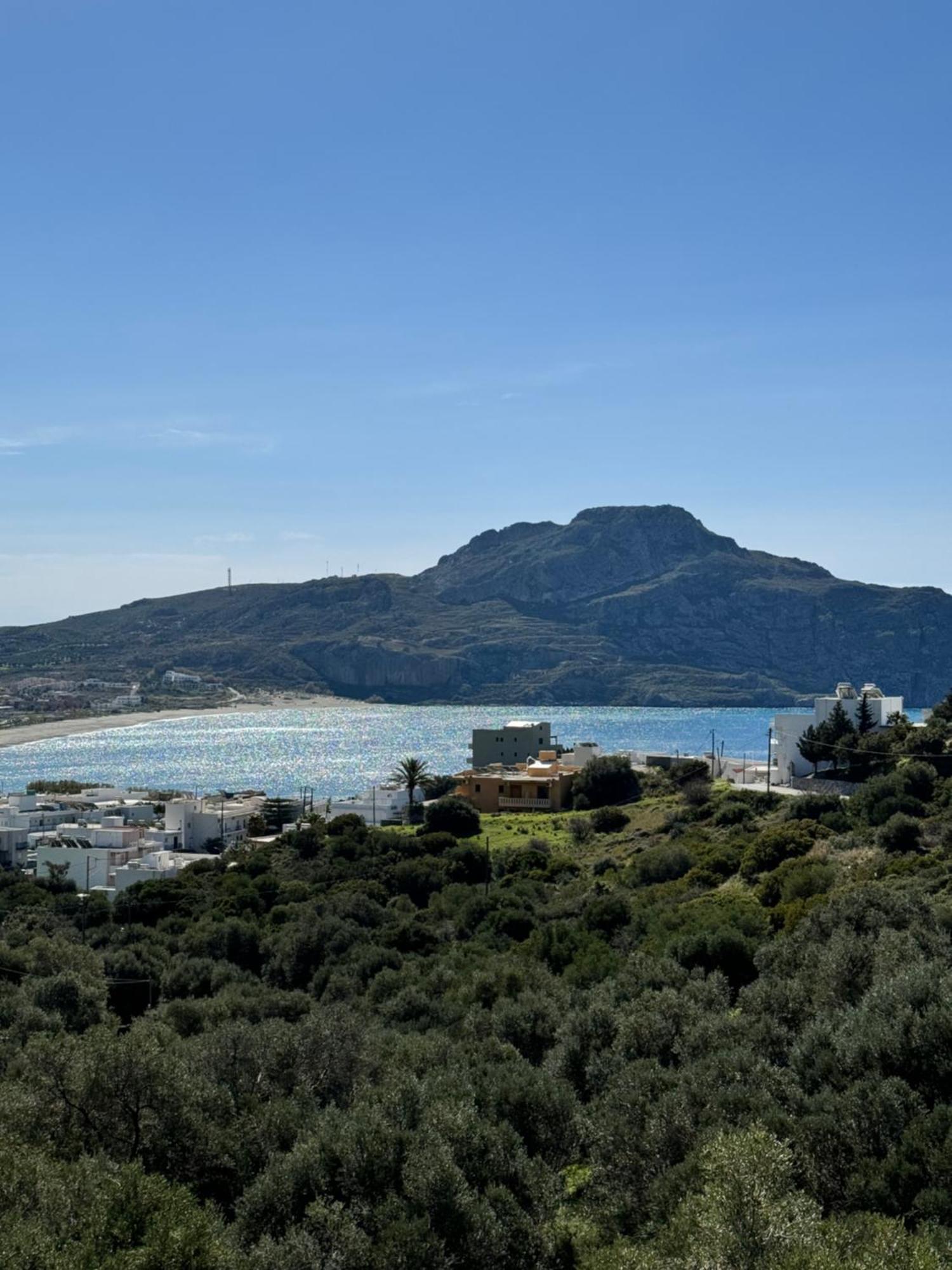Olive Grove Apartment Plakias