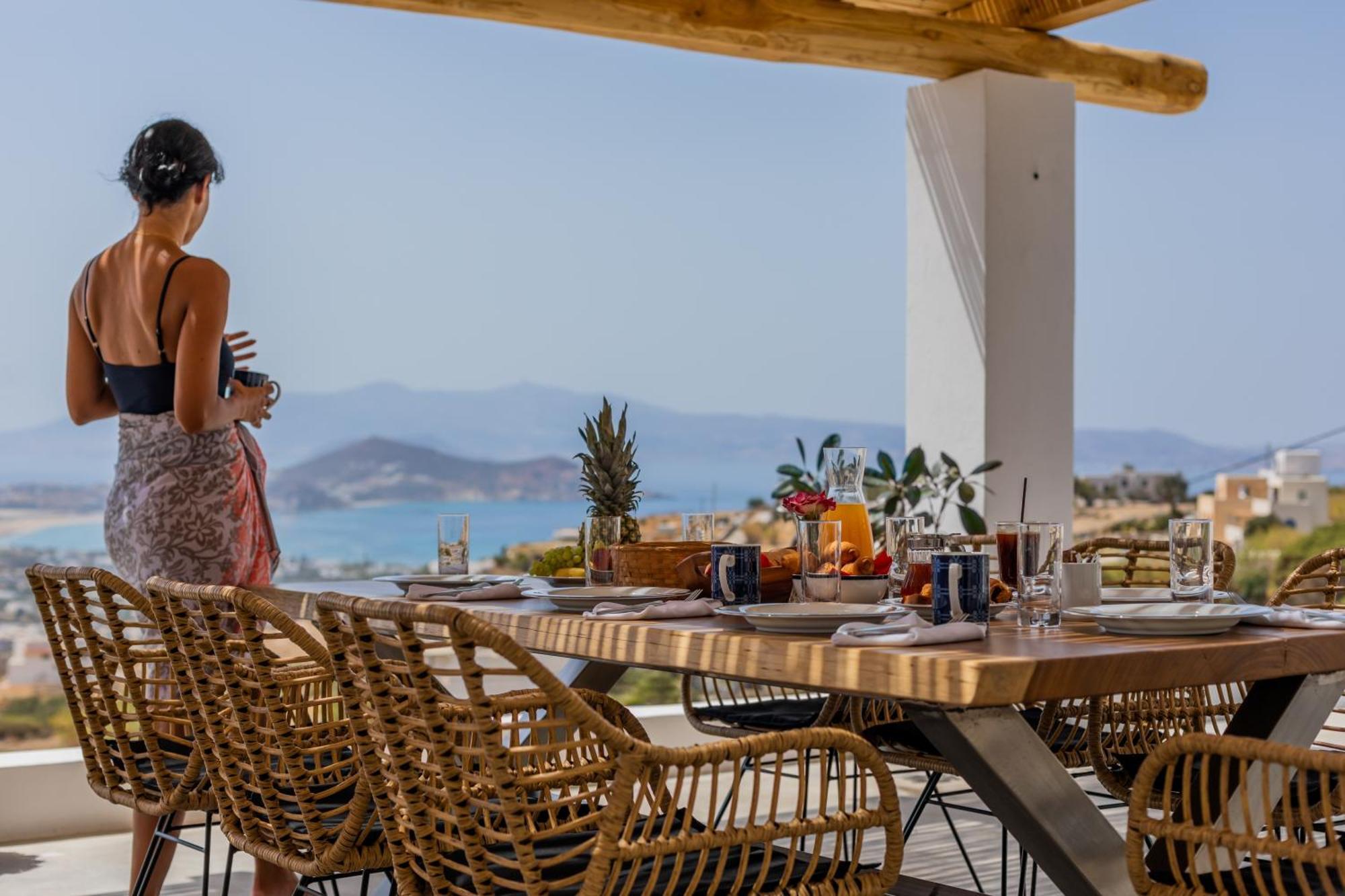 Naxos Skyline Deluxe Villa Agkidia