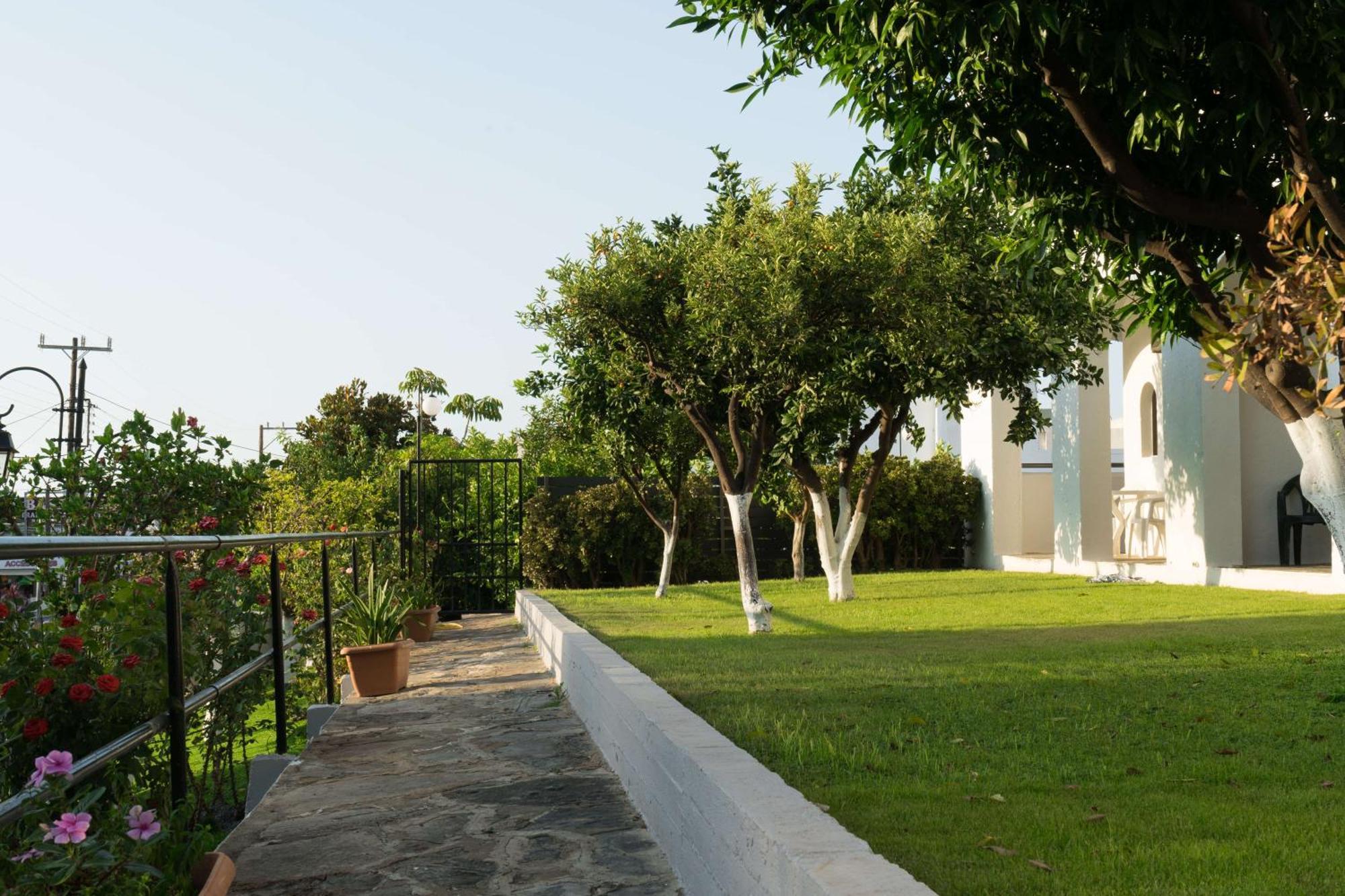 Holidays 3* Malia (Crete)