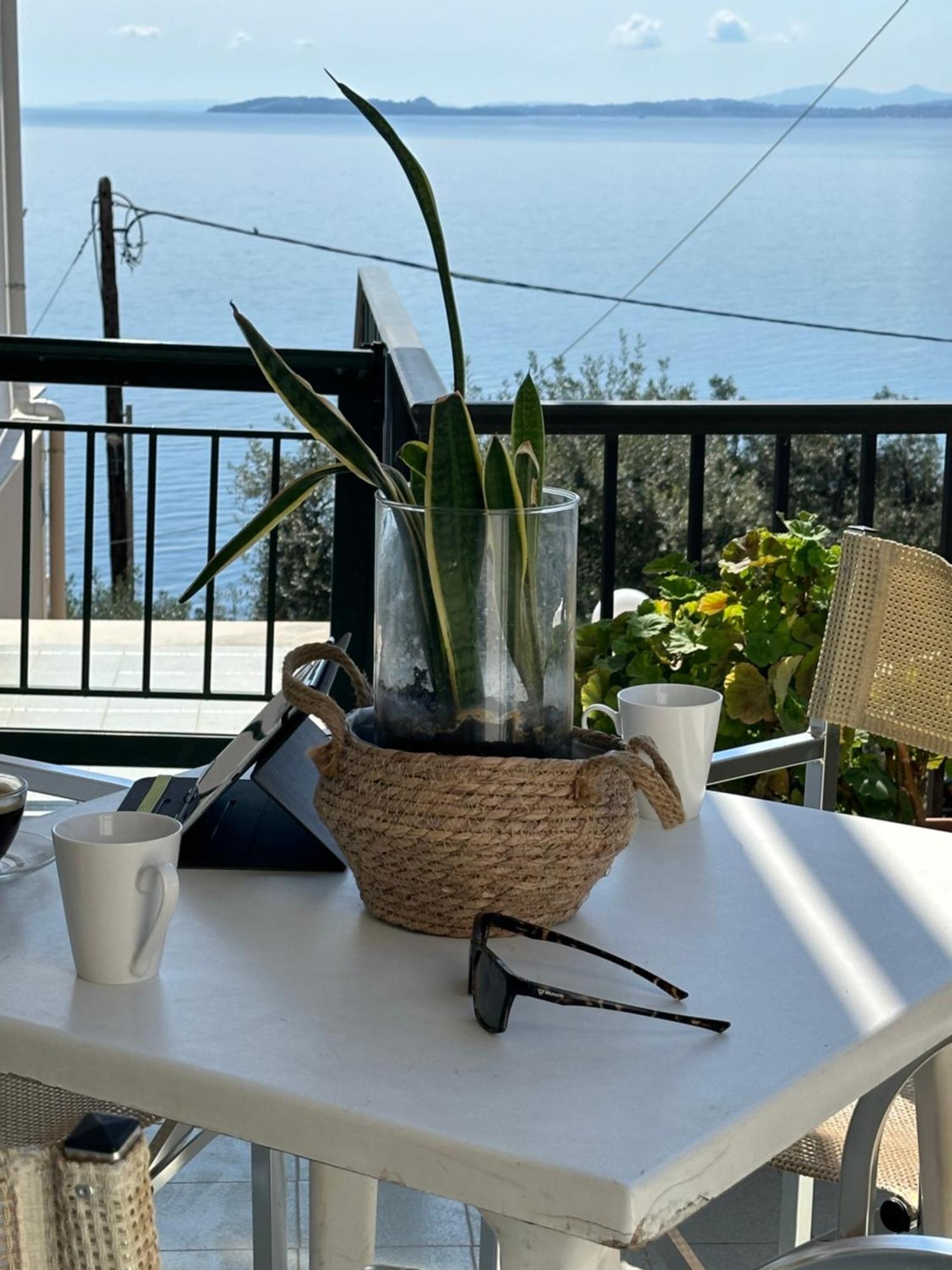 Apartment Vladimiros
