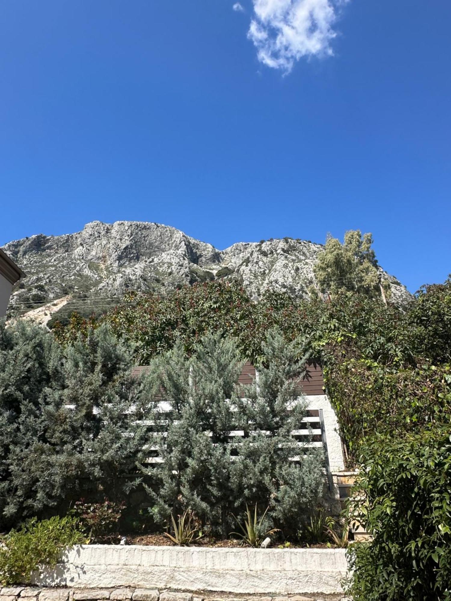 Vladimiros Apartment *
