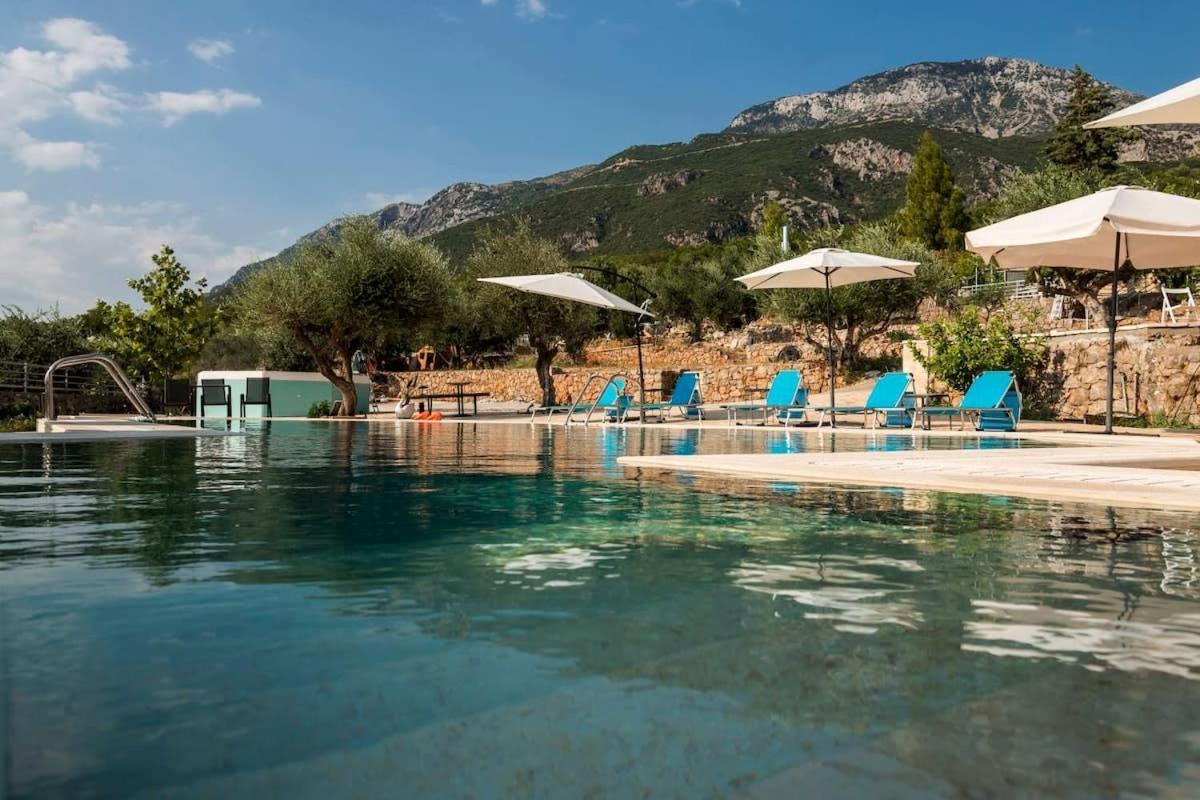 Apartment Needa's - Eros Loft With Infinity Pool
