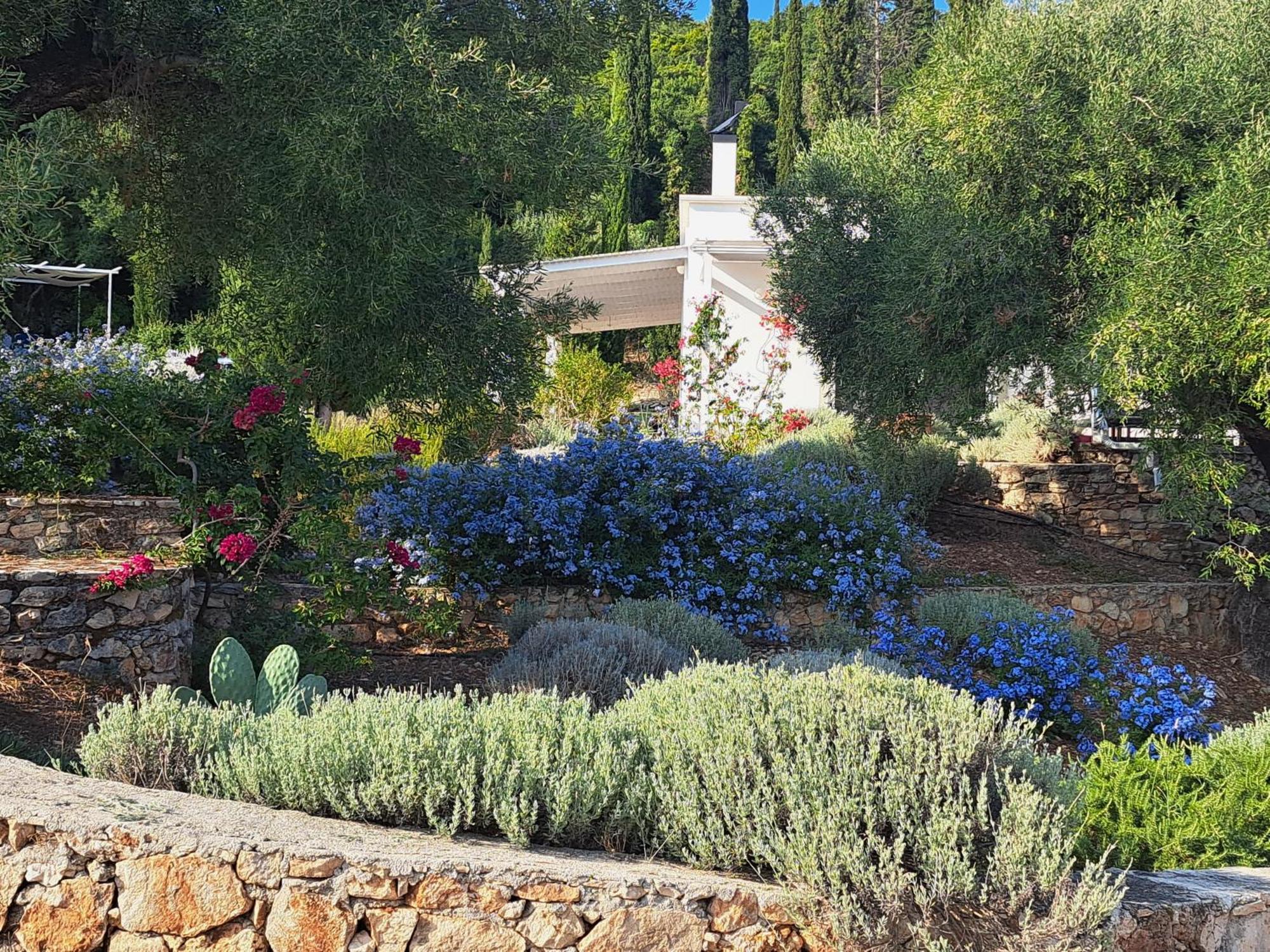 Villa Buras *