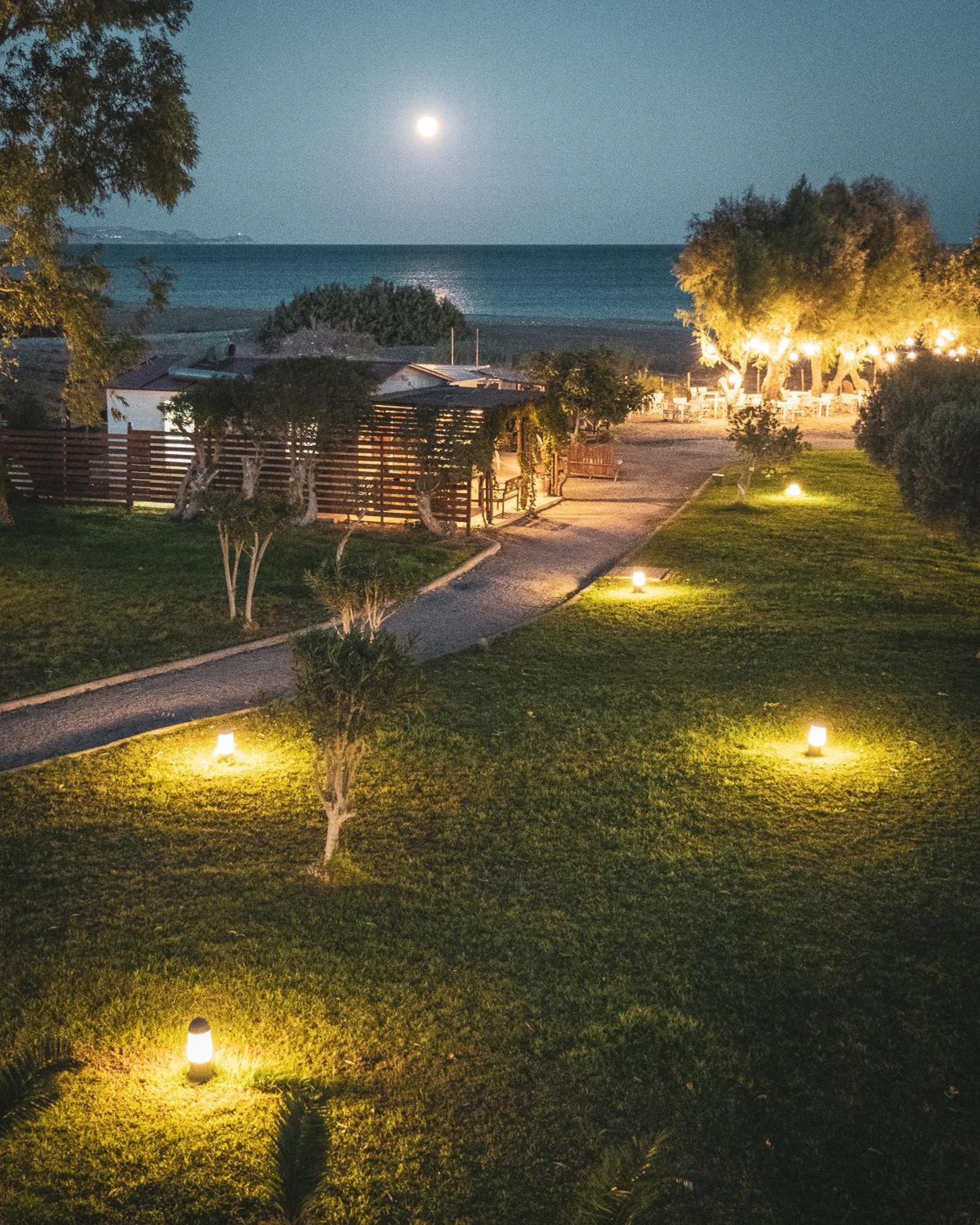 Eco And Magic Garden