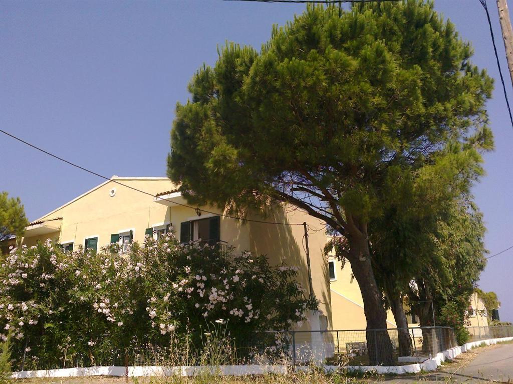 Front Salvanos Acharavi (Corfu)