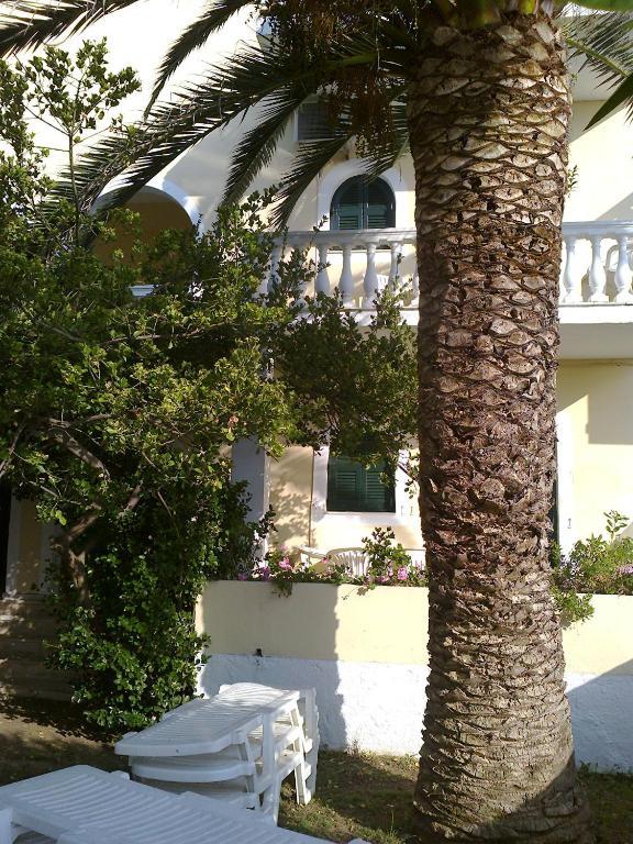 Front Salvanos 2*