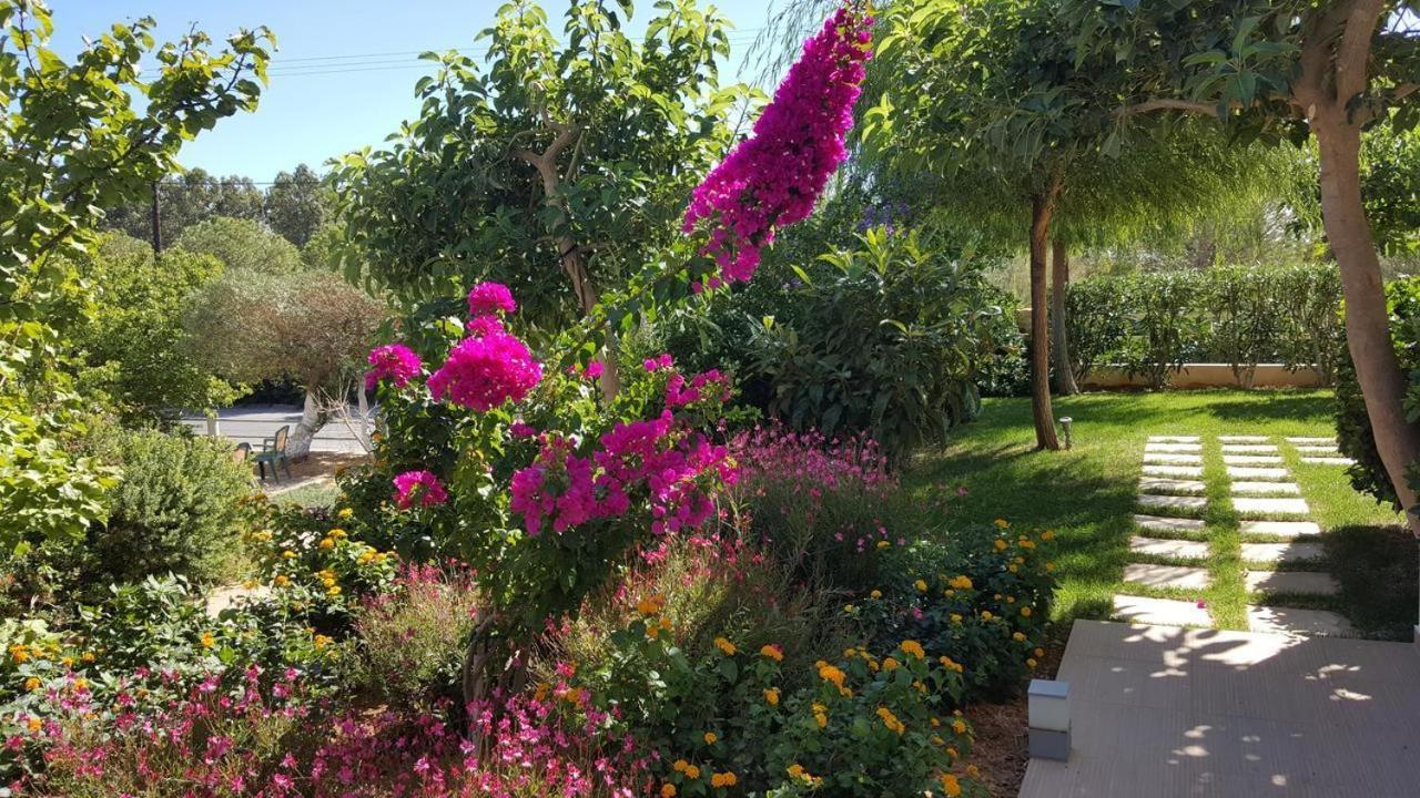 Mear - Cretan Summer Getaways Apartment *