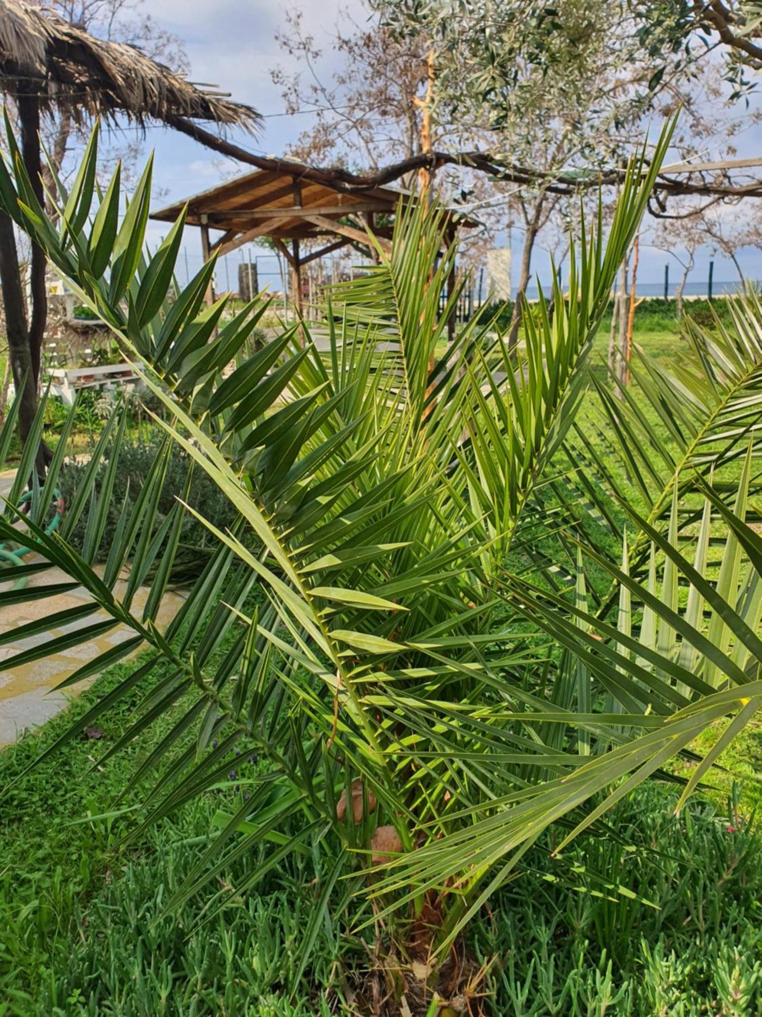 Doukas By The Sea-little Paradise-beachfront * Skala Marion