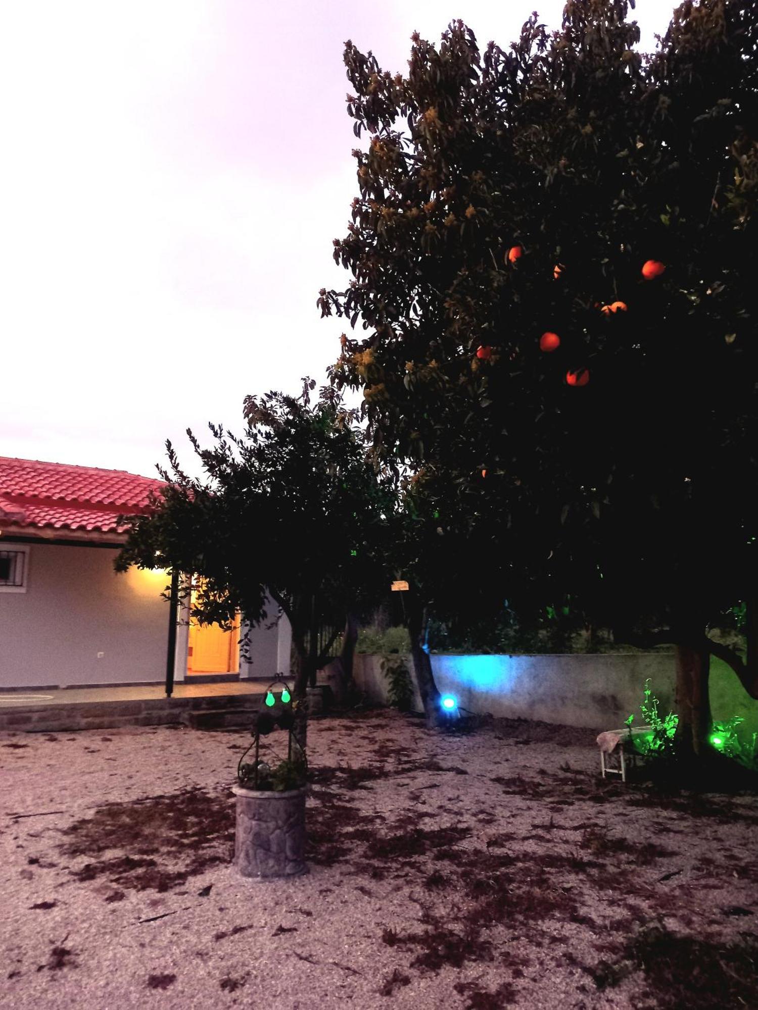 Avocado House Holiday home *