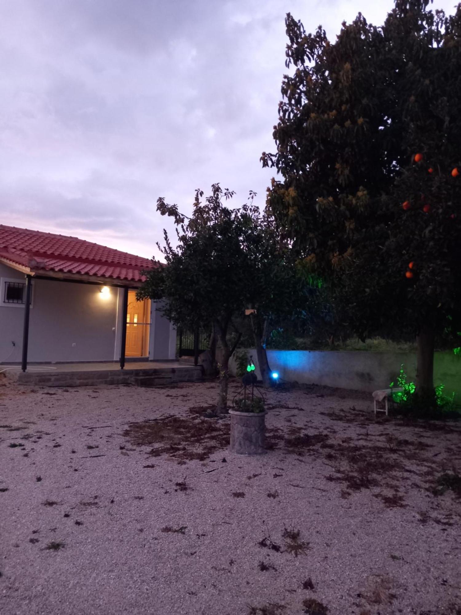 Avocado House *