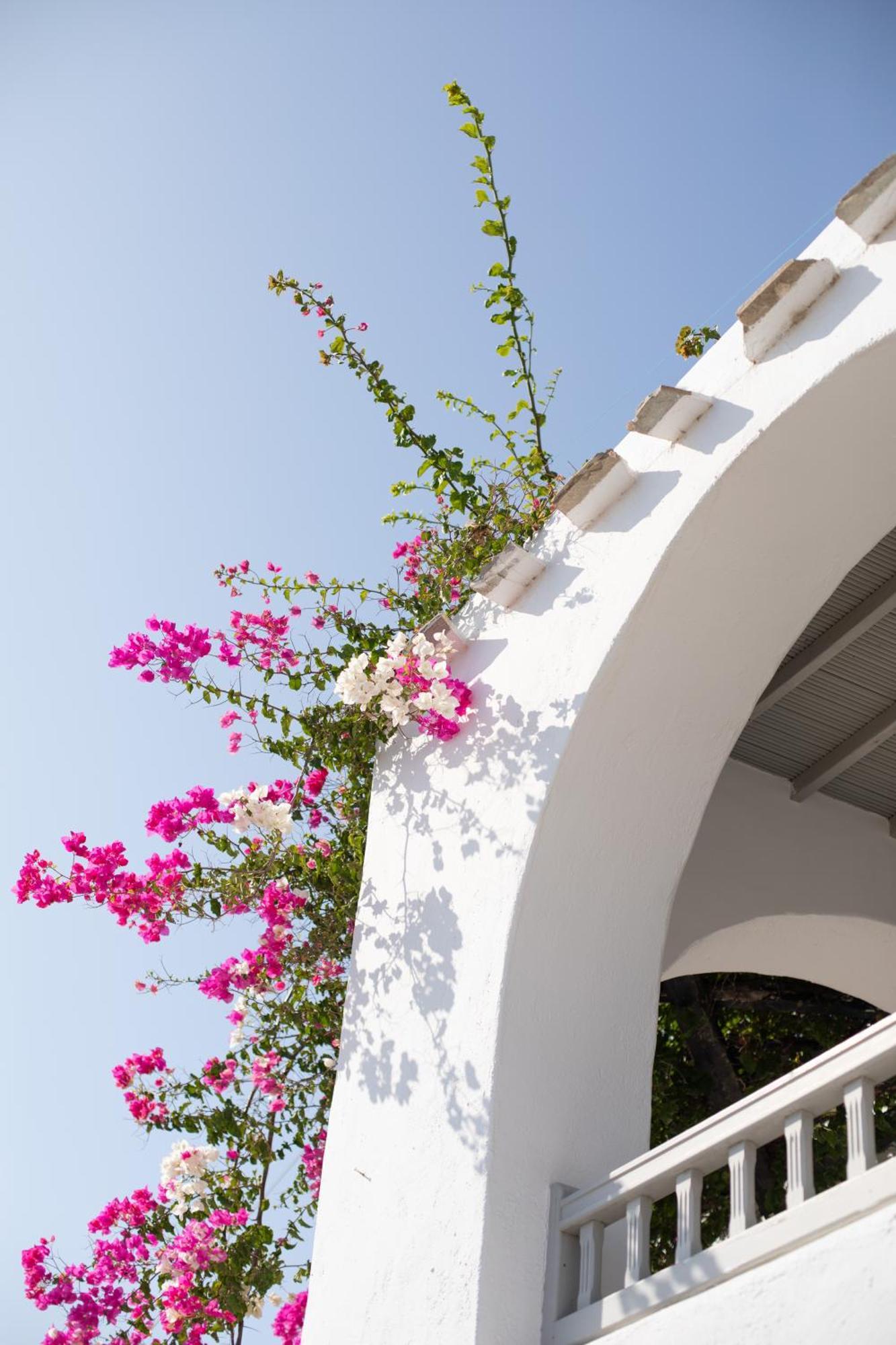 Apartment Apostolis Windmill Psarou (Mykonos)