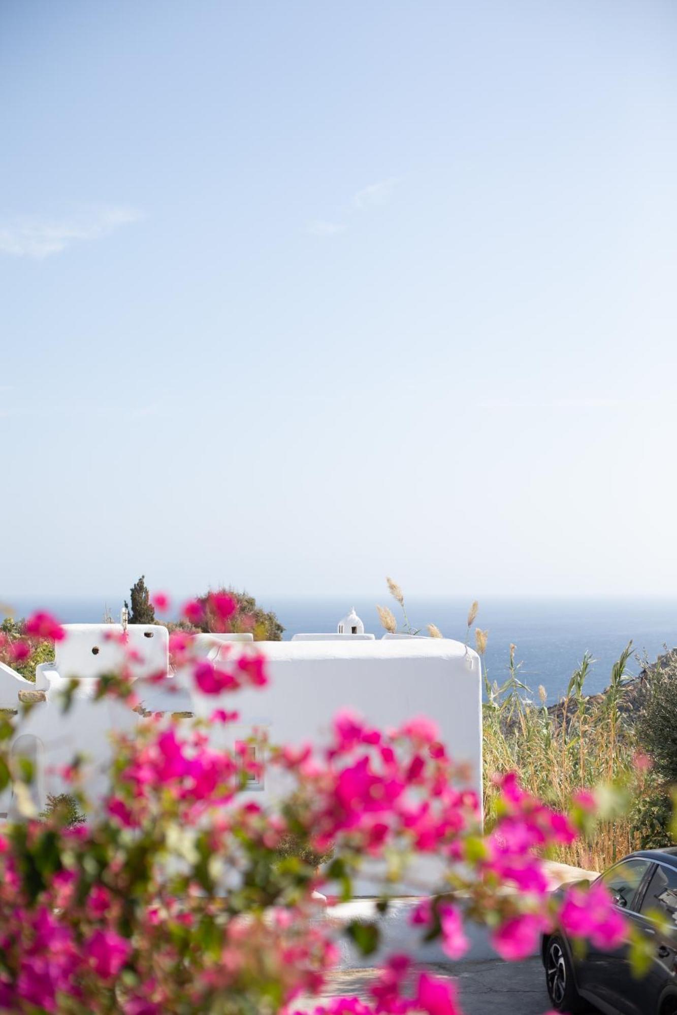 Apostolis Windmill Apartment Psarou (Mykonos)