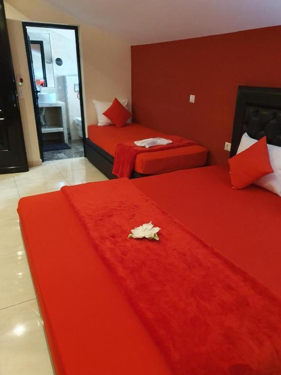 Vesna Luxury Ap 5 & 6 Apartment *