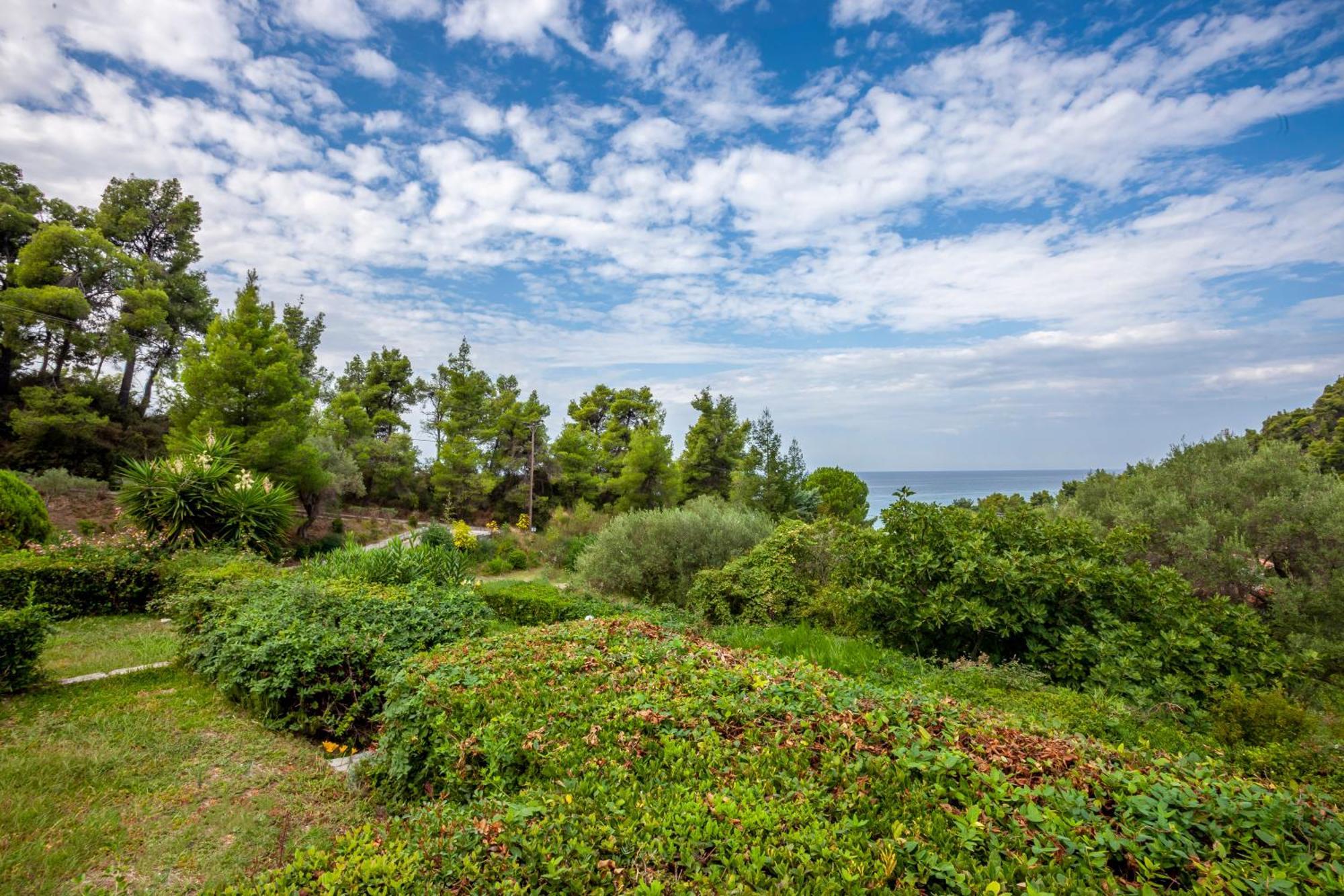 Eden Near The *