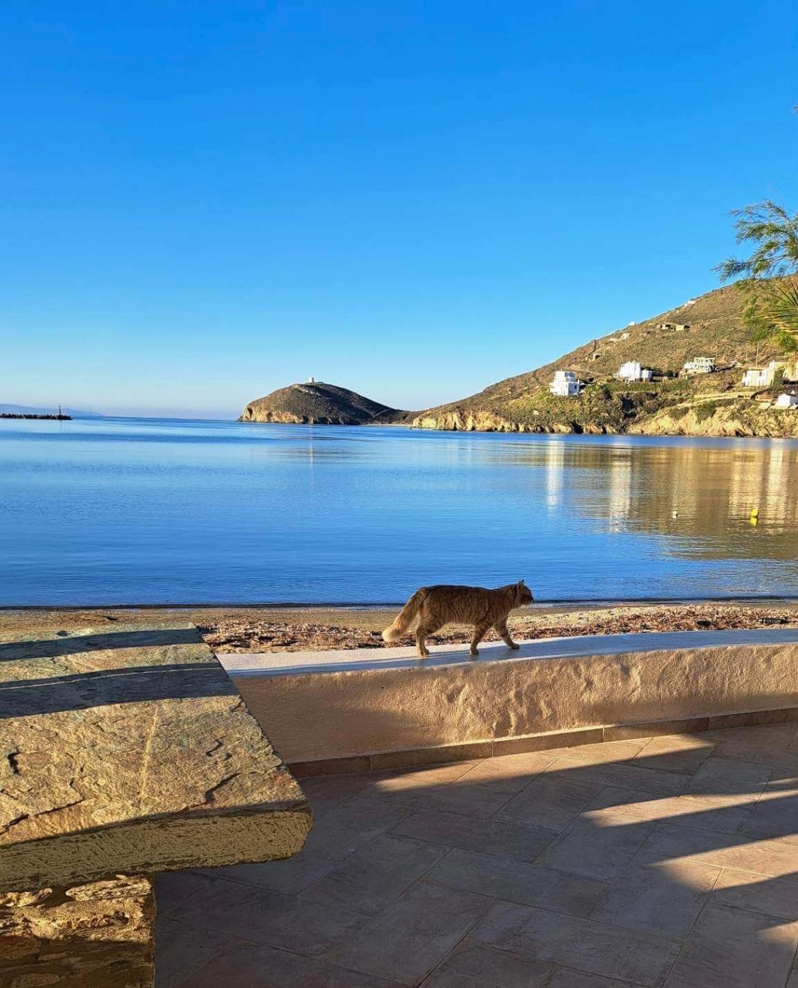 Sea Senses Andros - A Beachfront Retreat