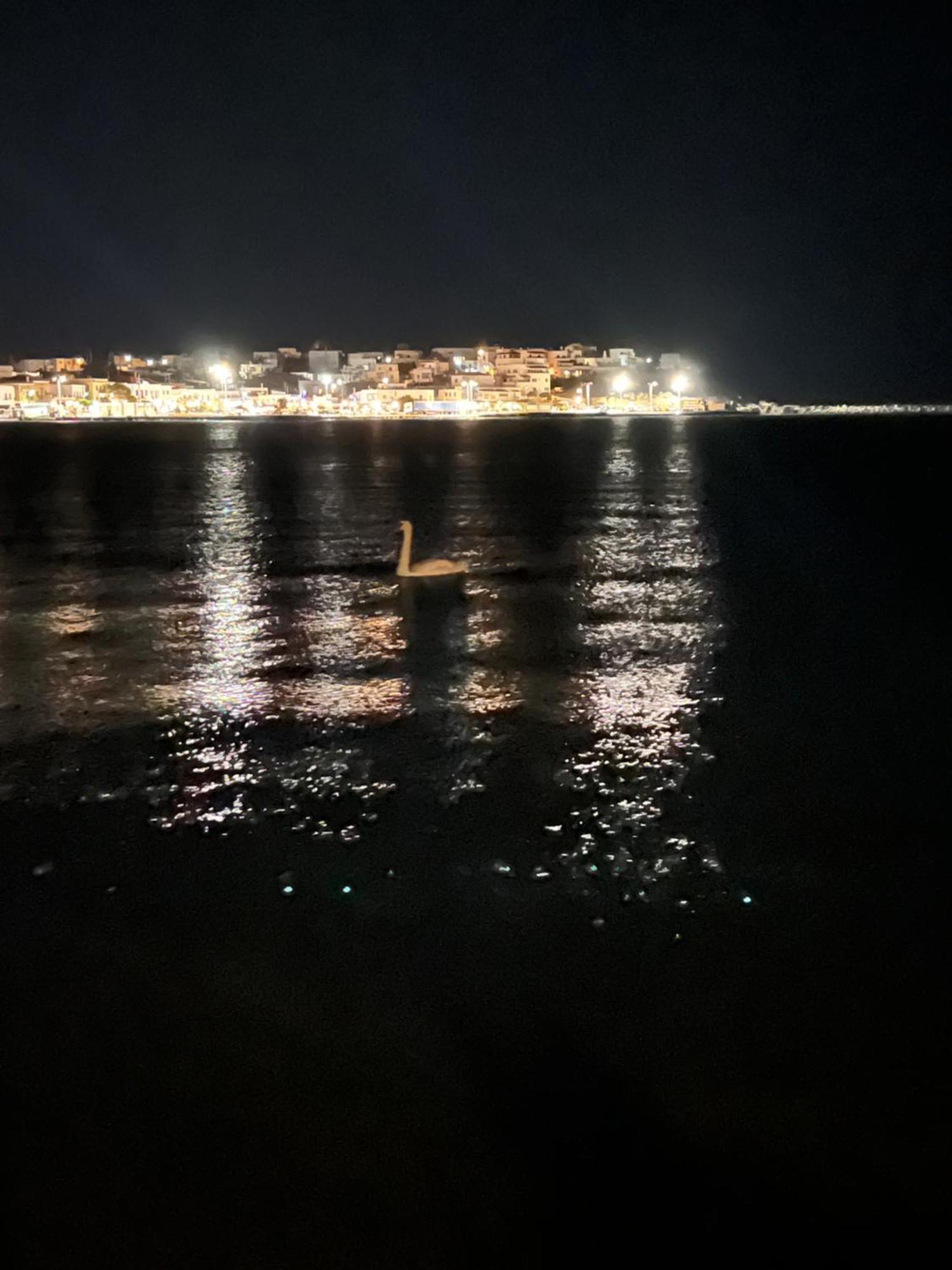 Sea Senses Andros - A Beachfront Retreat