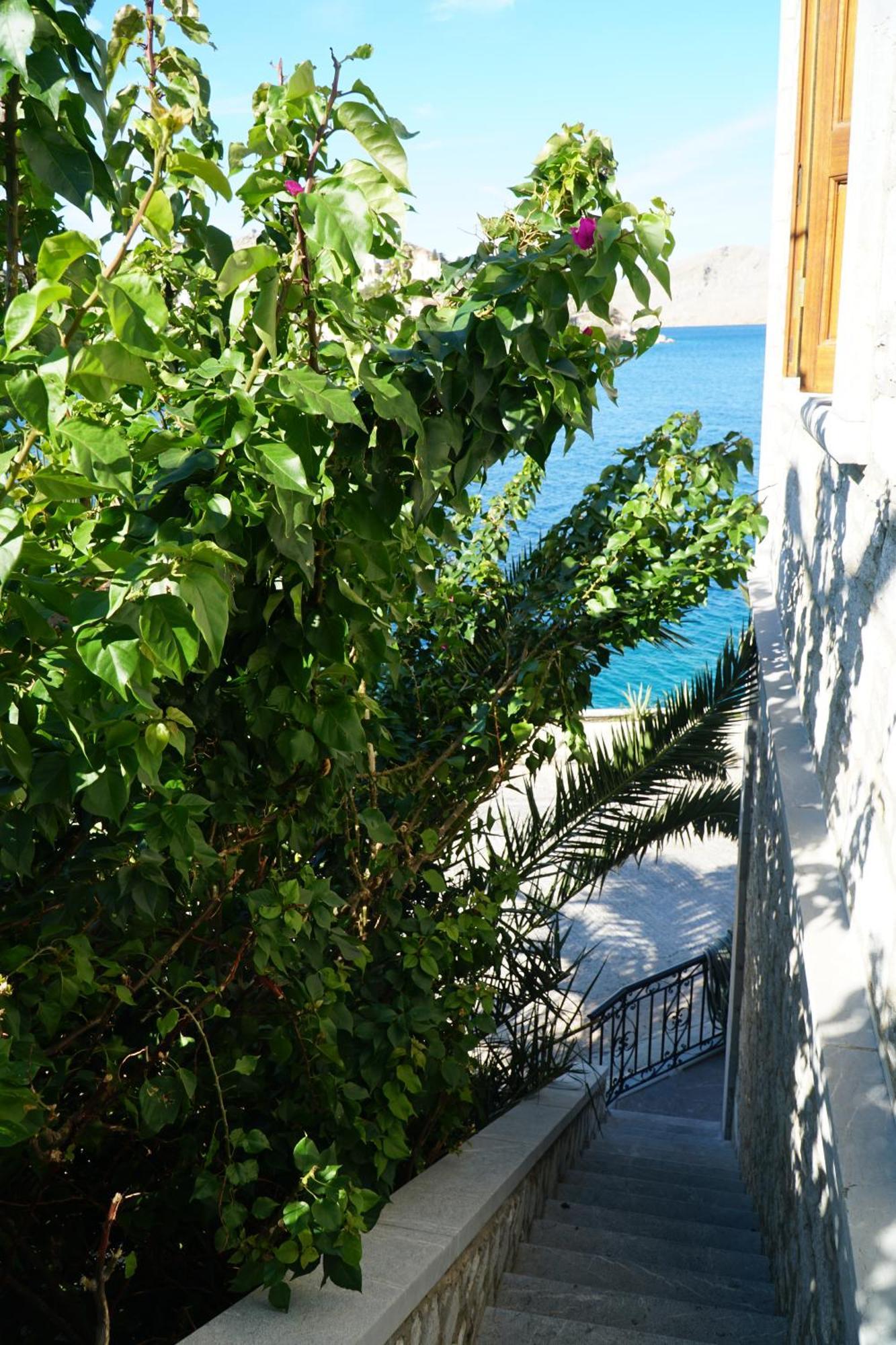 Apartment Petalo House