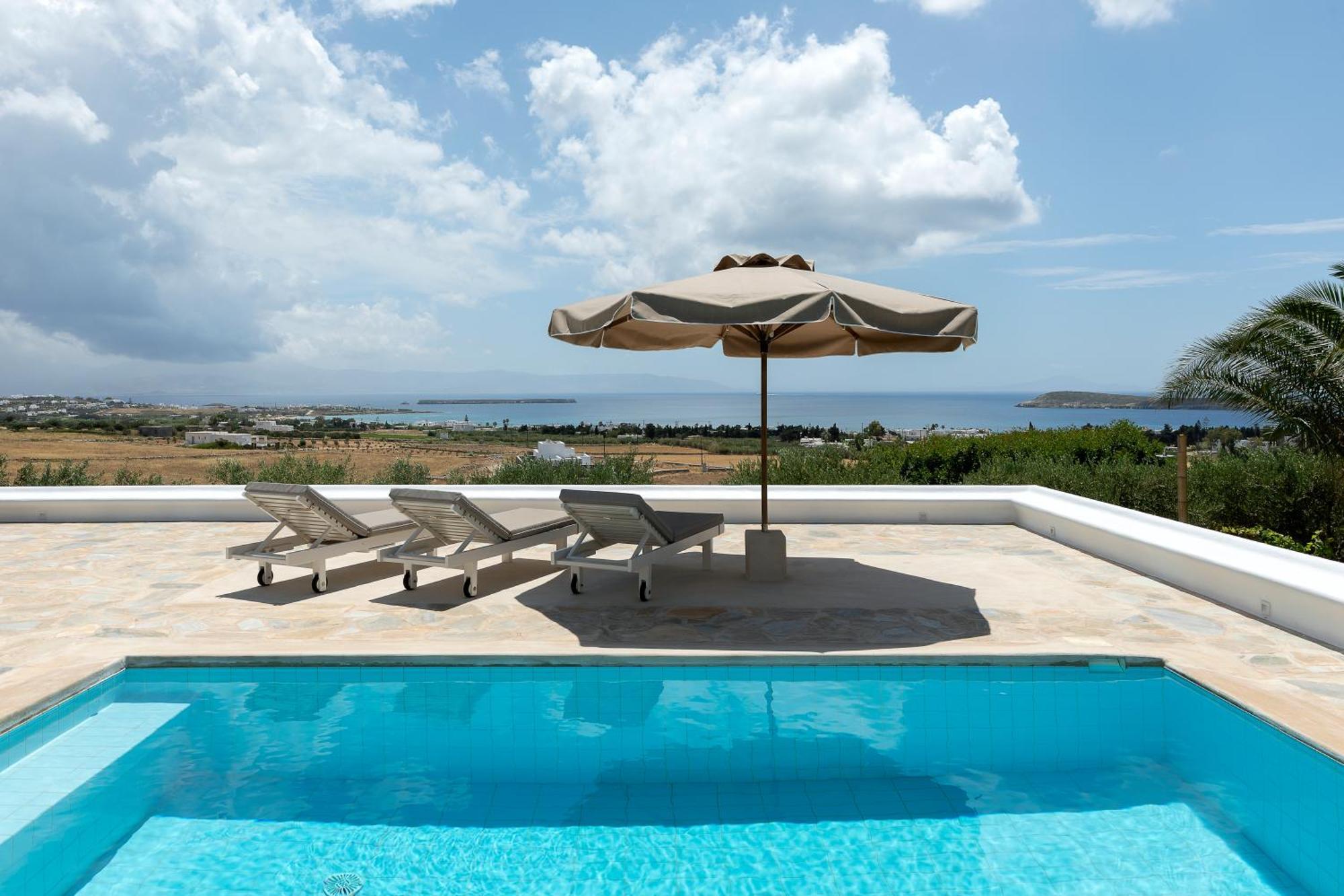 Maira With Seaview And Private Swimming Pool Drios