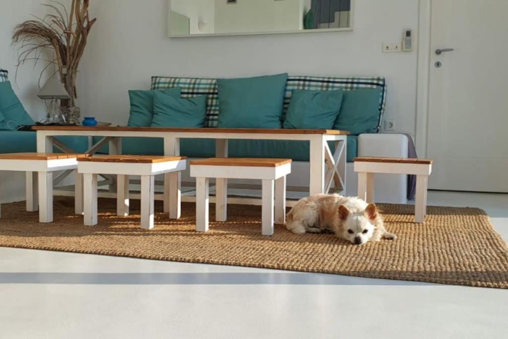 Kalithea-hills With Pool For 8 Up To 12 In Rhodes Town Asgourou