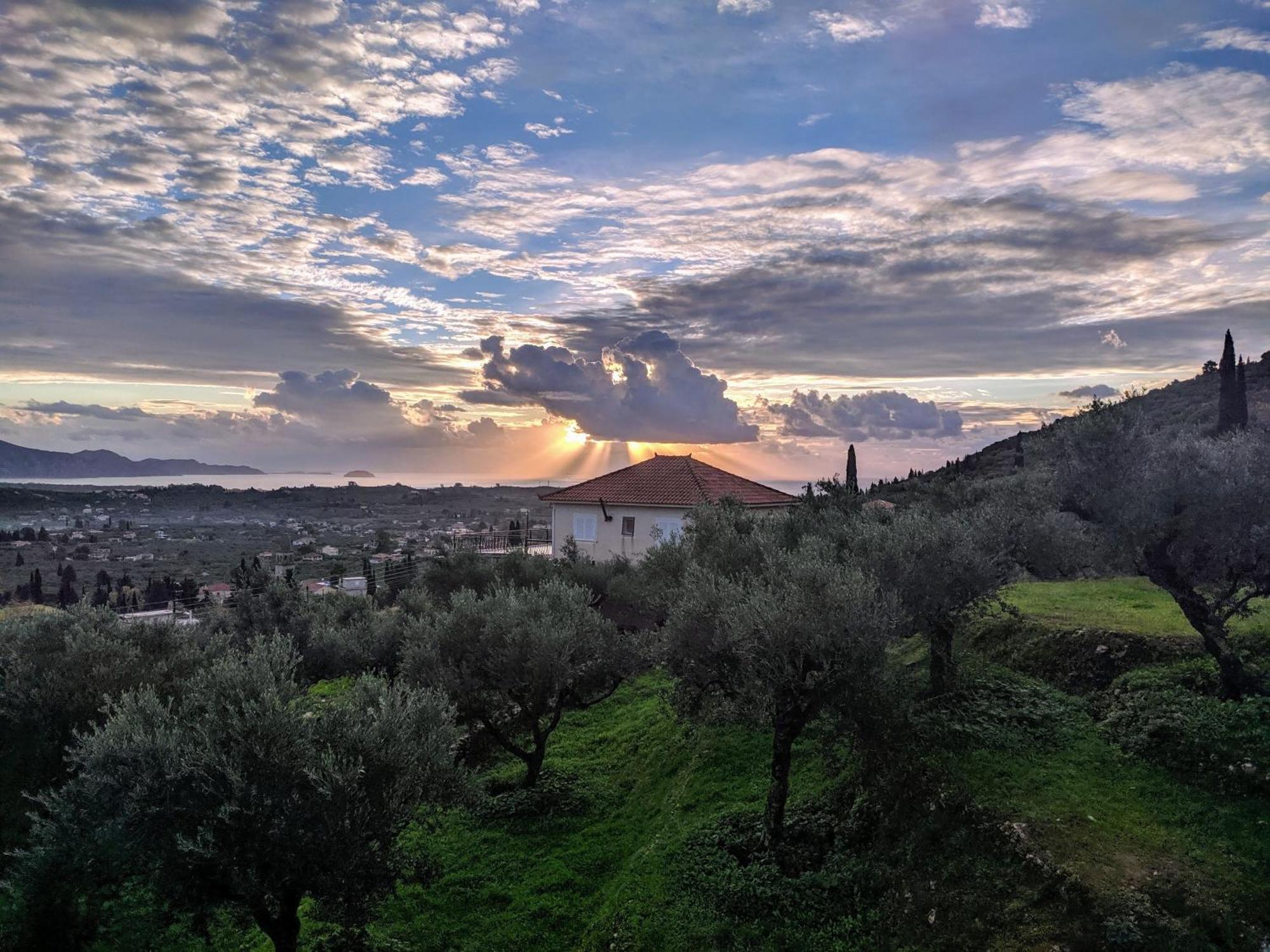 Kalielaia * Mouzakion (Zakynthos)