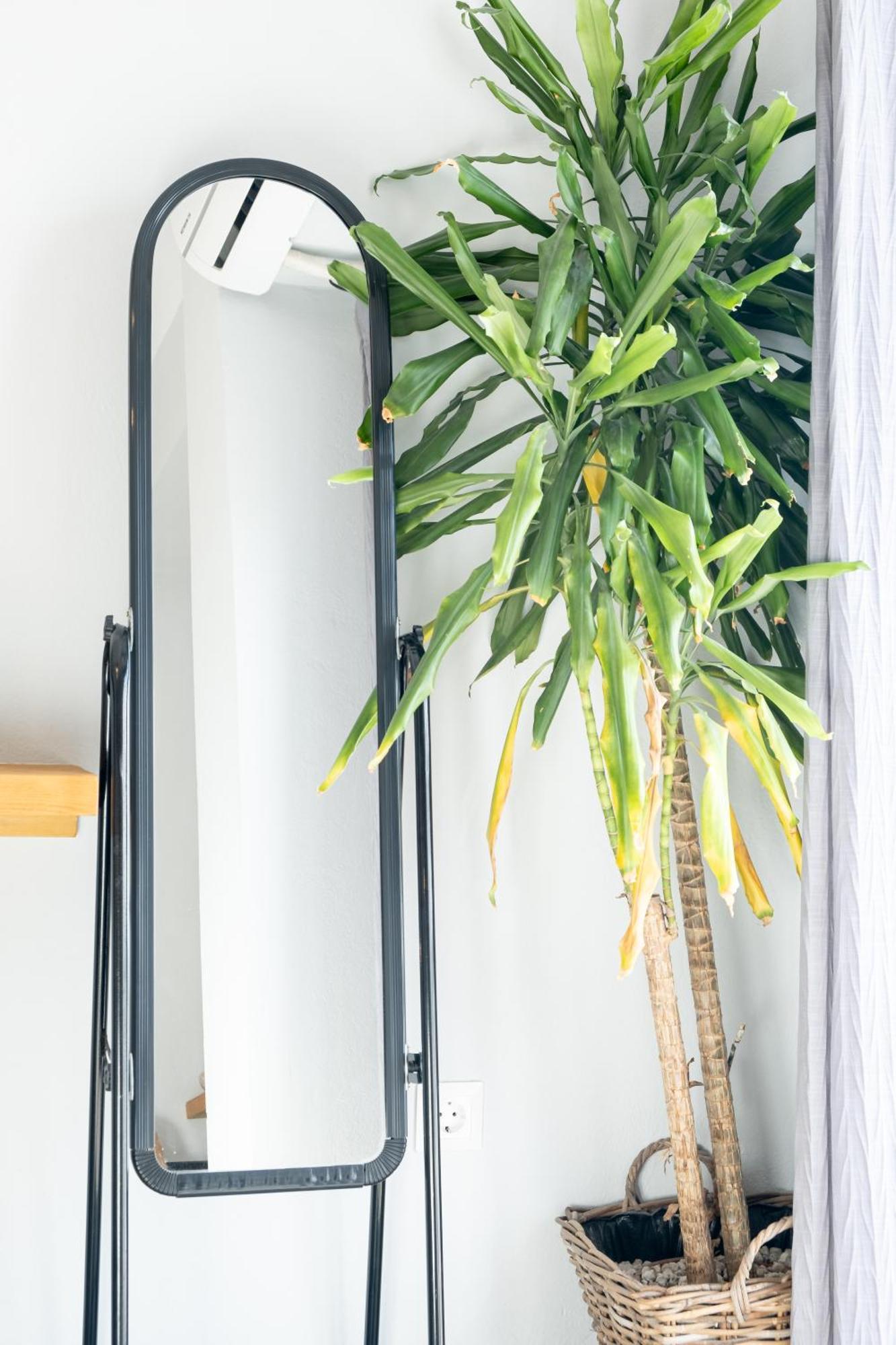 Diio Apartment