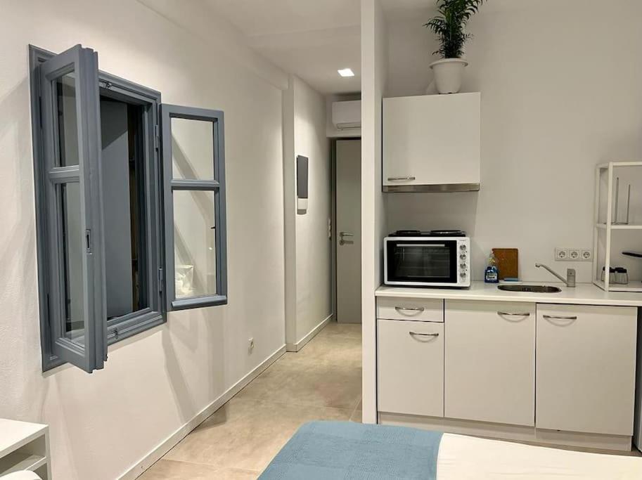 Apartment Kea Experience - Double Korissia (Kea)