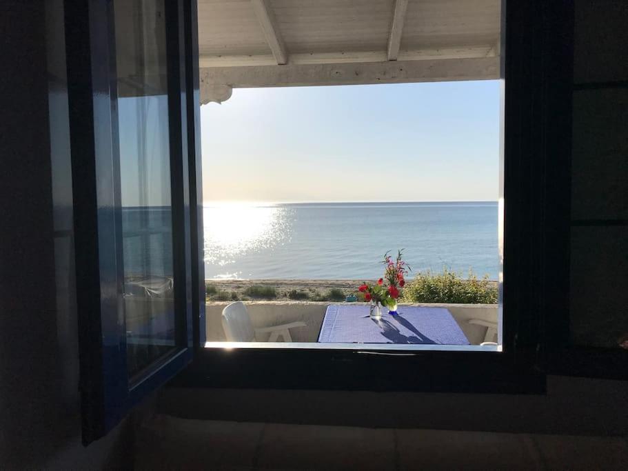 House On The In Fourka Chalkidiki! Holiday home *