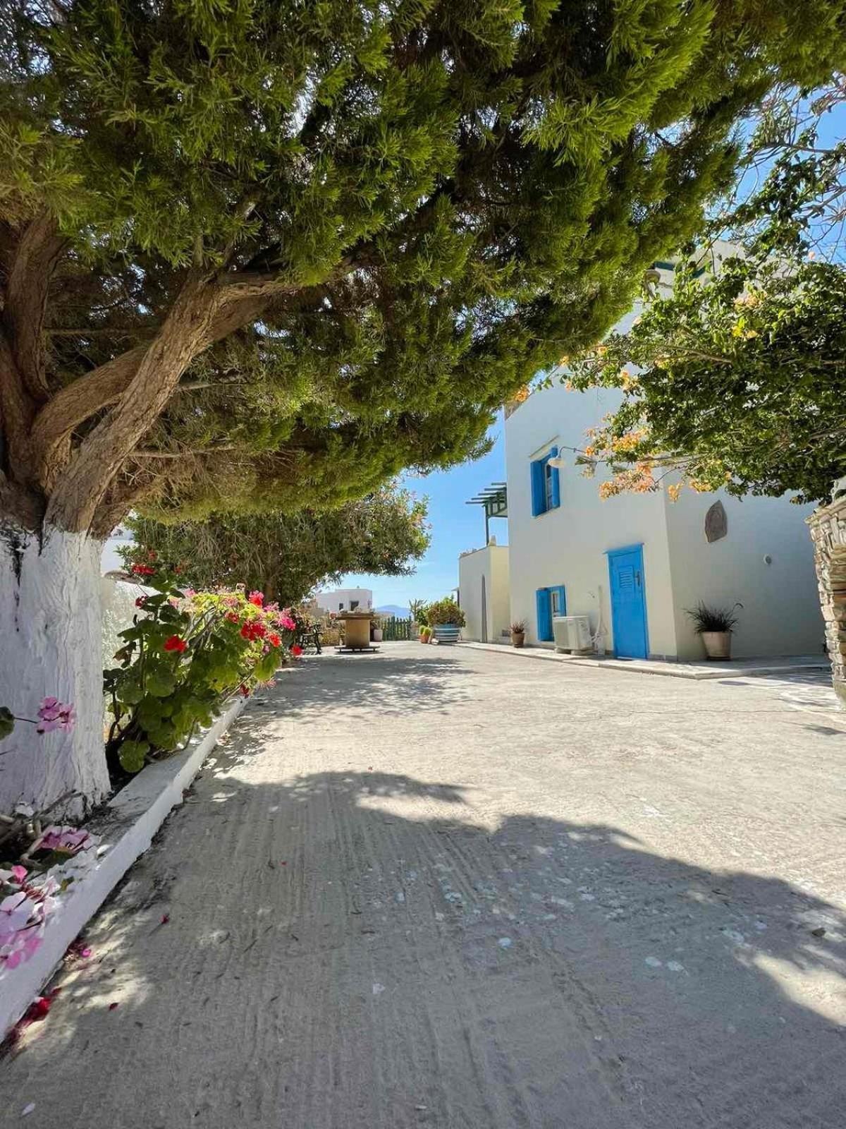 Matina's Vineyard Guest house