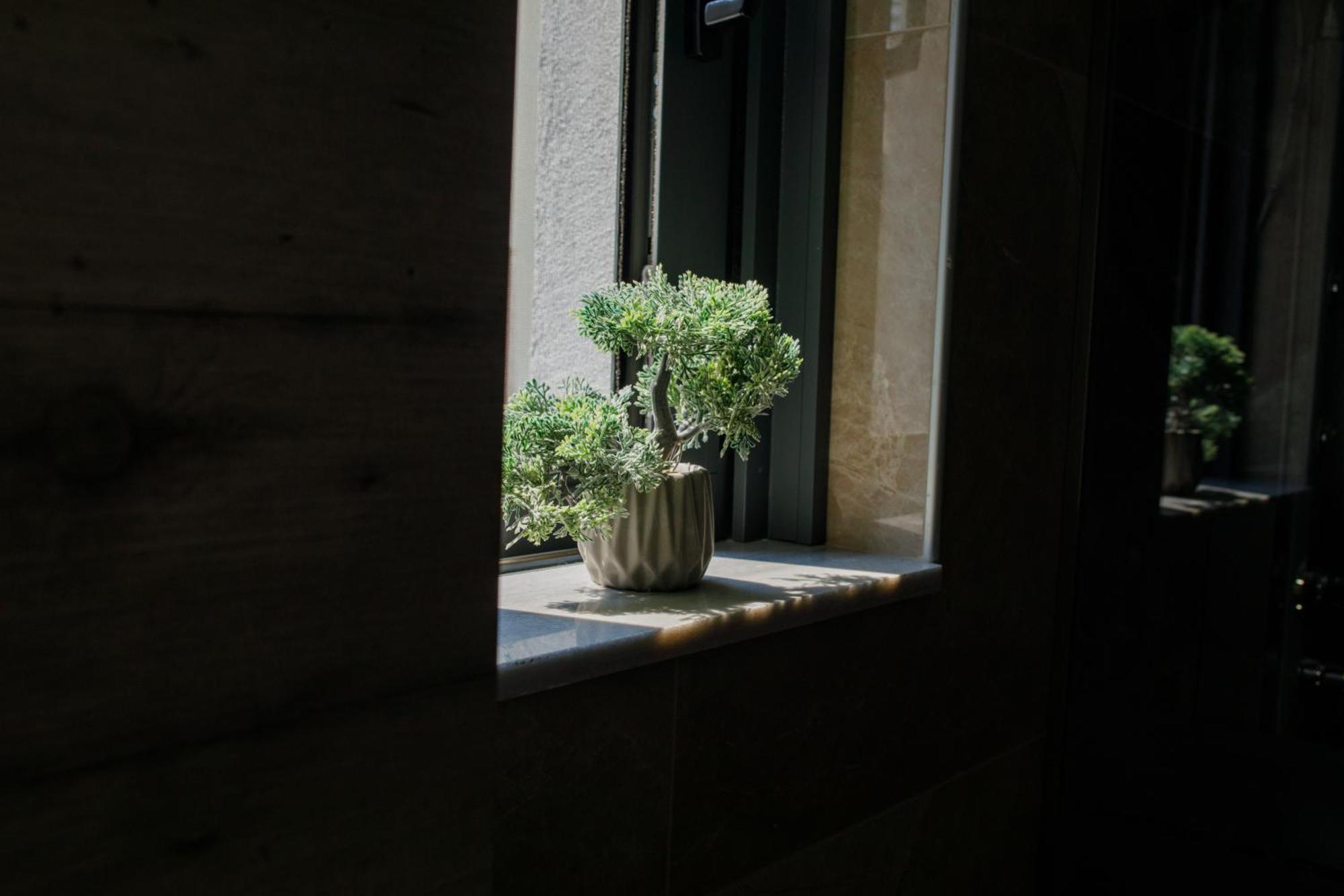 Apartment Konatsi Luxury