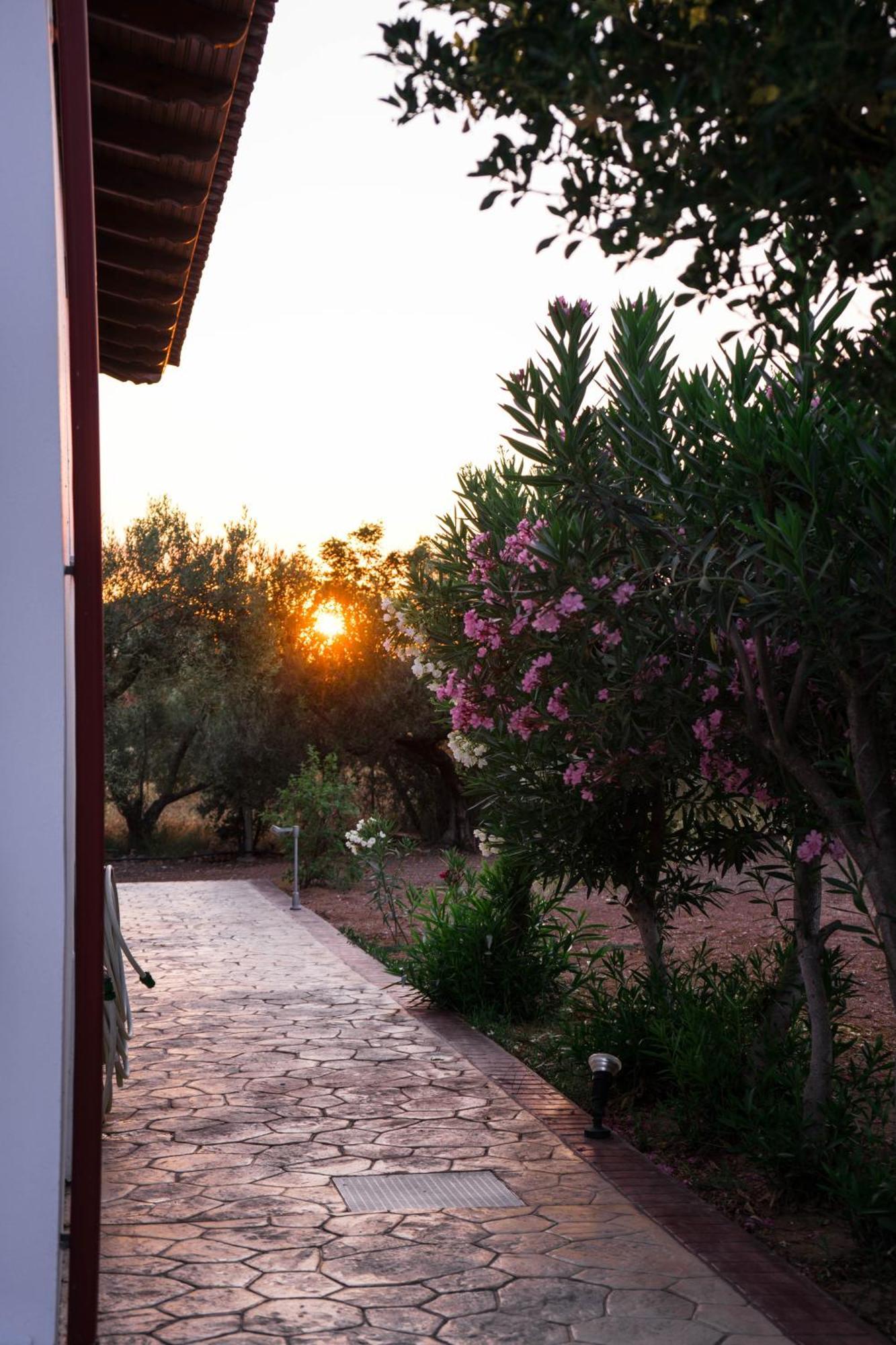 Holiday home Platanos New *