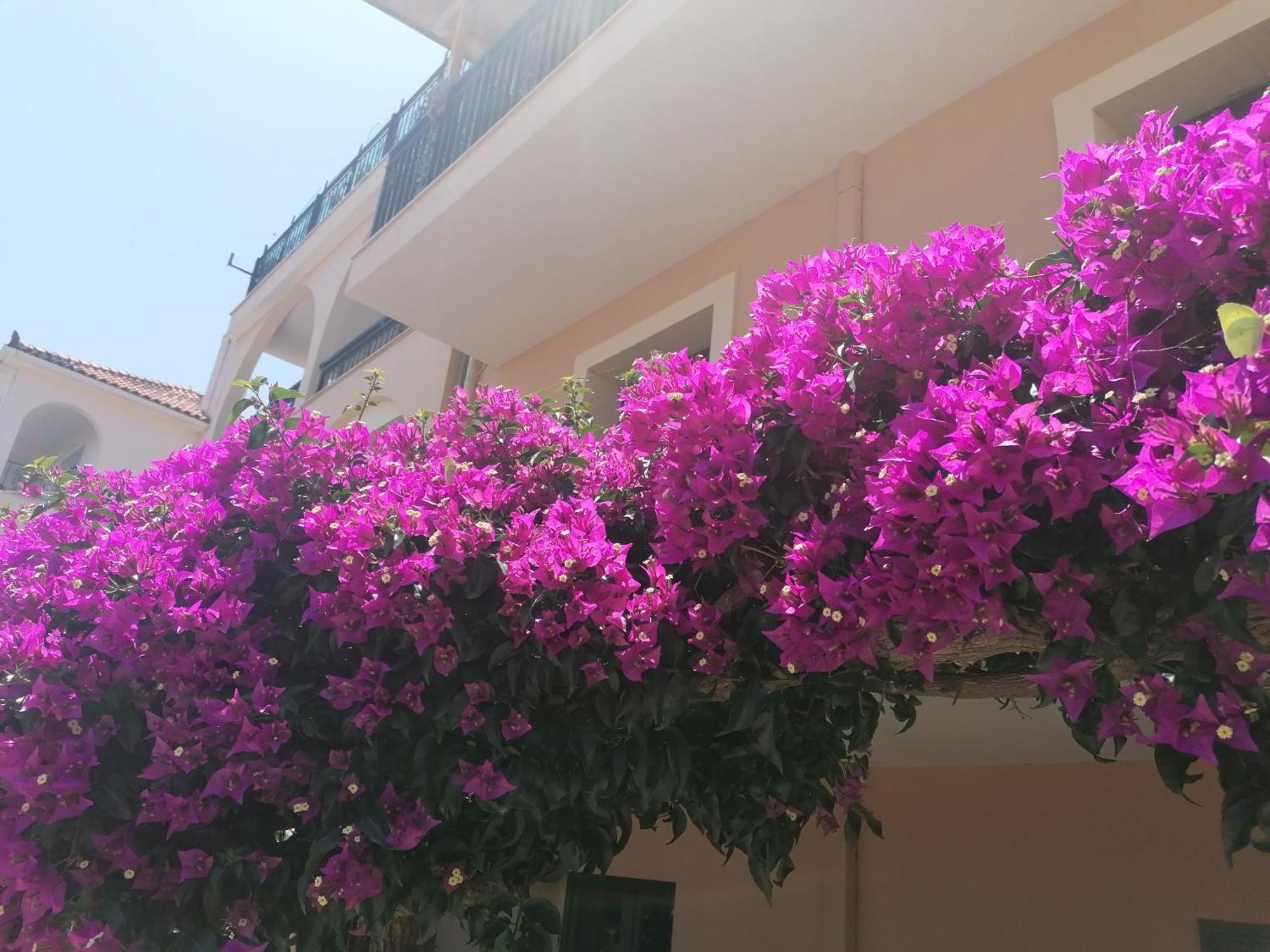 Marinos - 1st Floor Poros (Kefalonia)