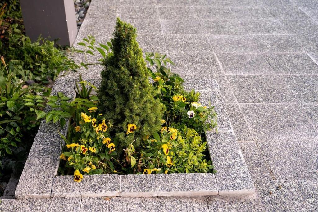 Apartment Triantos Guesthome *