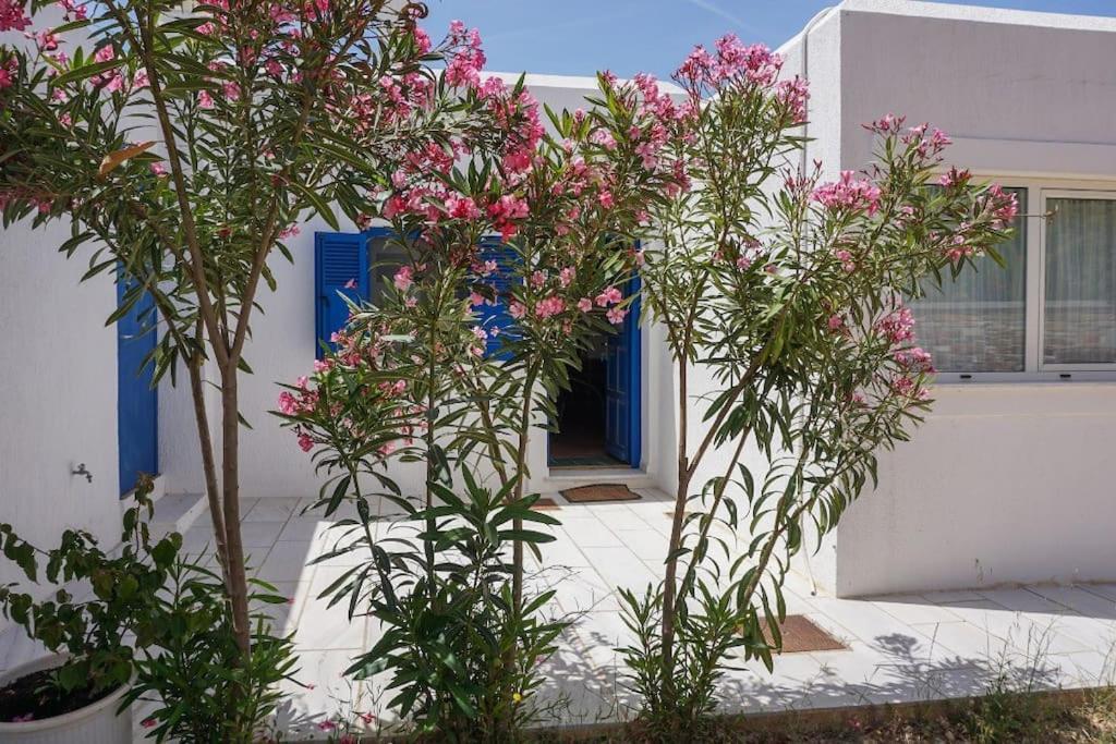 House By The Beach,next To Village,sunset View * Finikas (Syros)